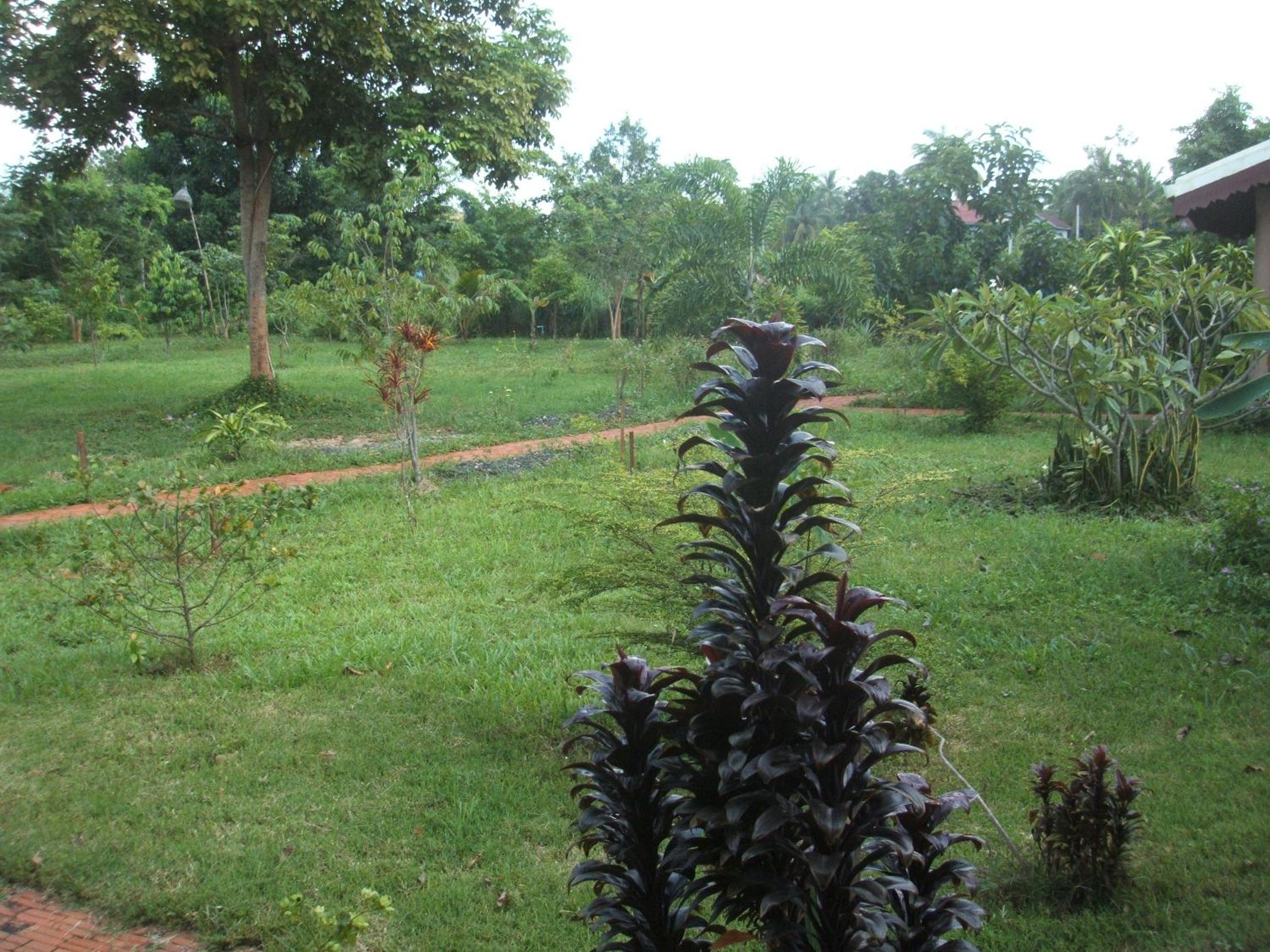 Photo 26