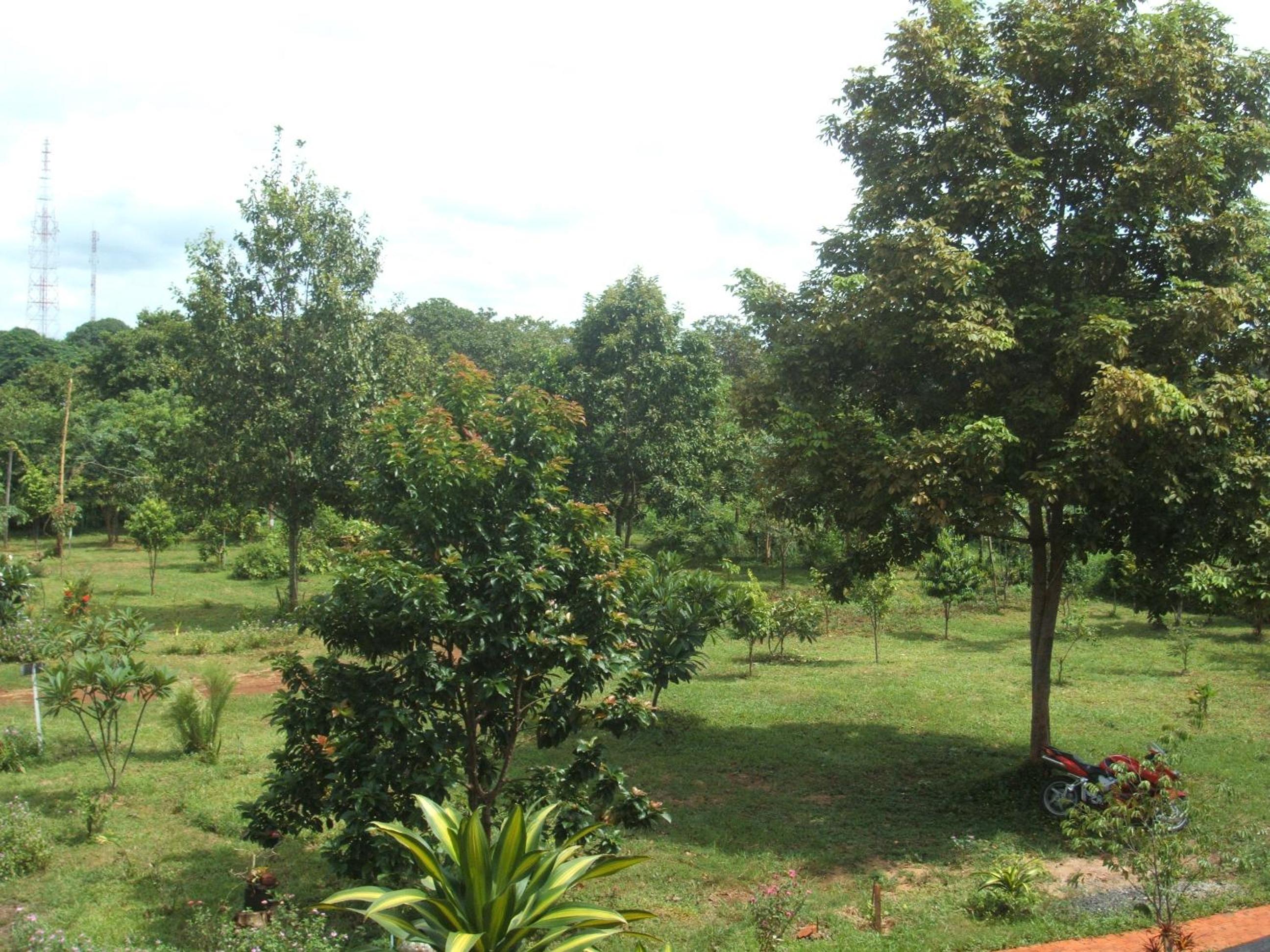 Photo 25
