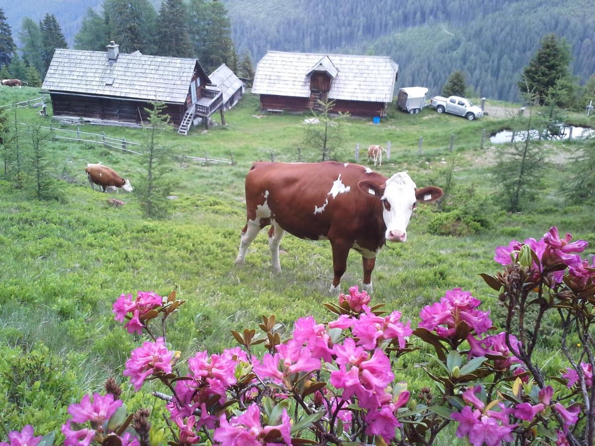 Schartlhof