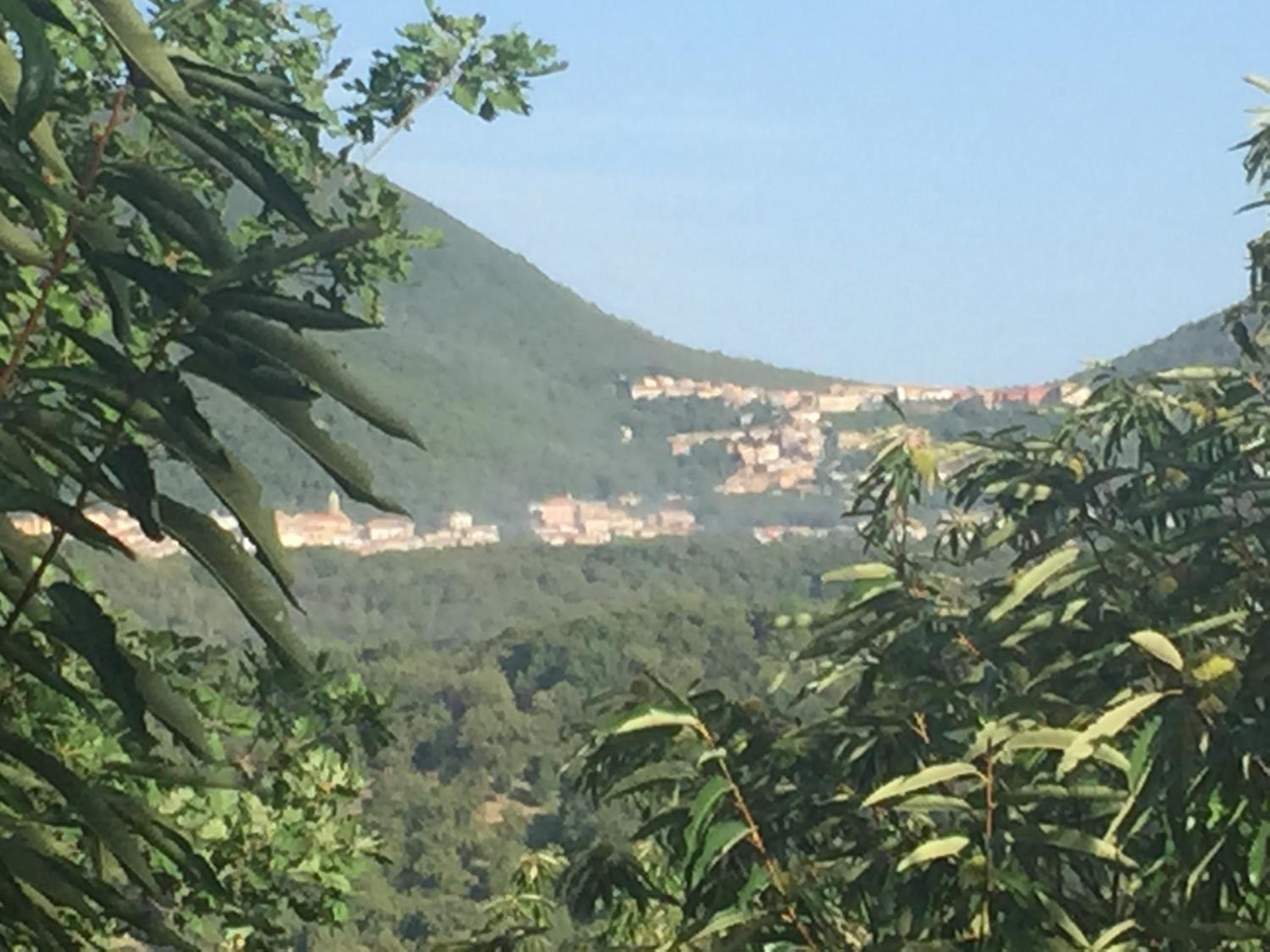 Le Quattro Stagioni view 3