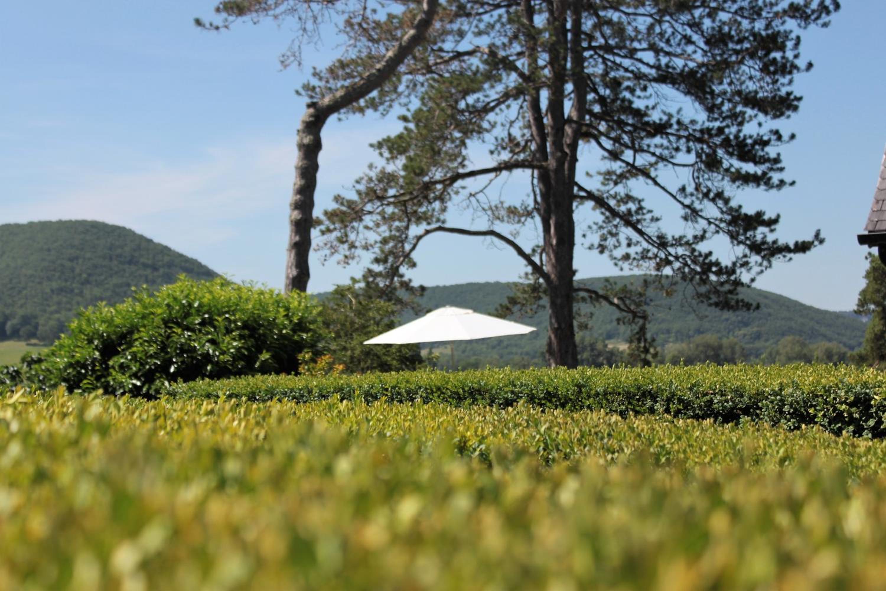 Domaine Le Broual