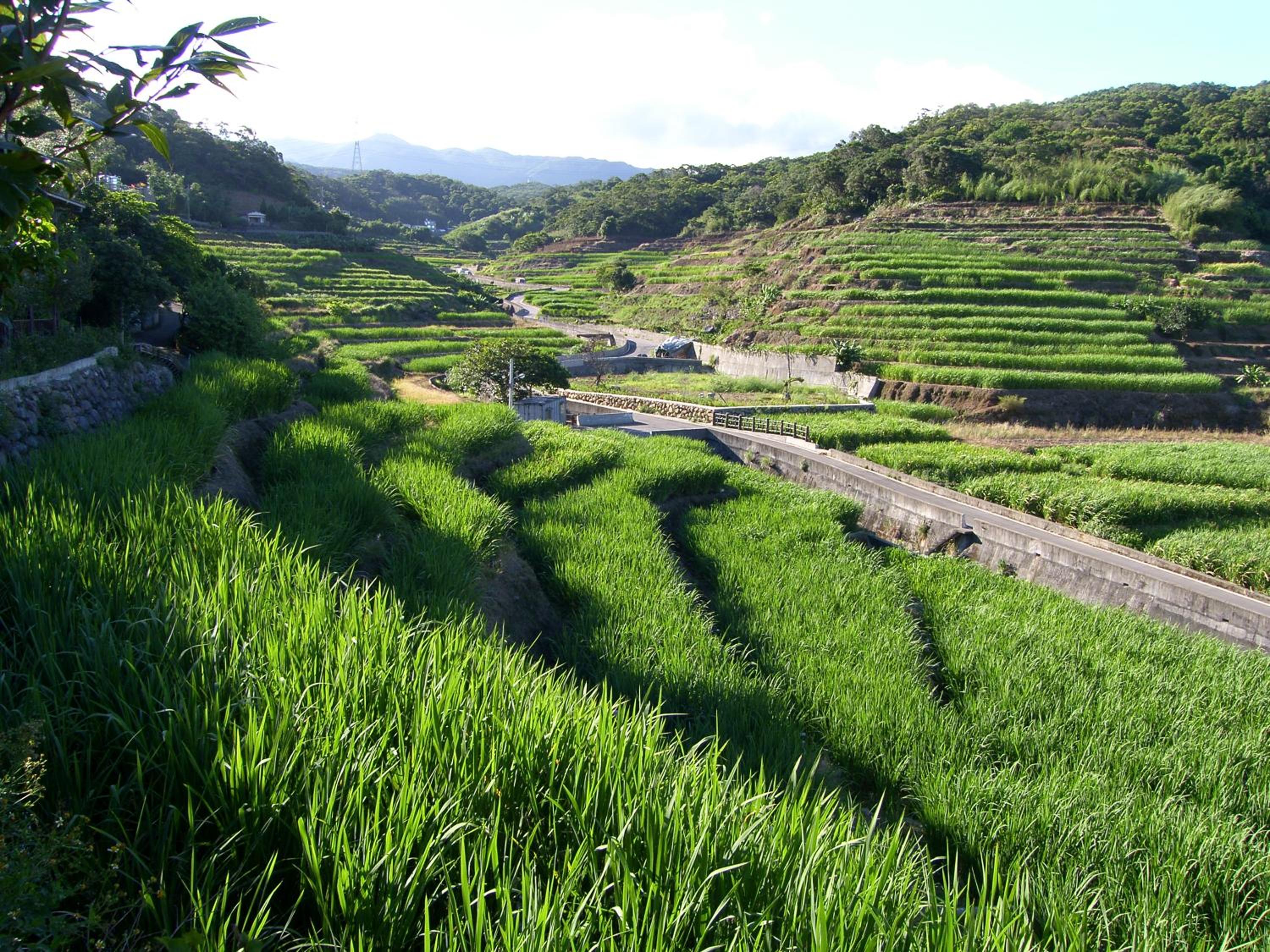 Emoonten Homestay view 5