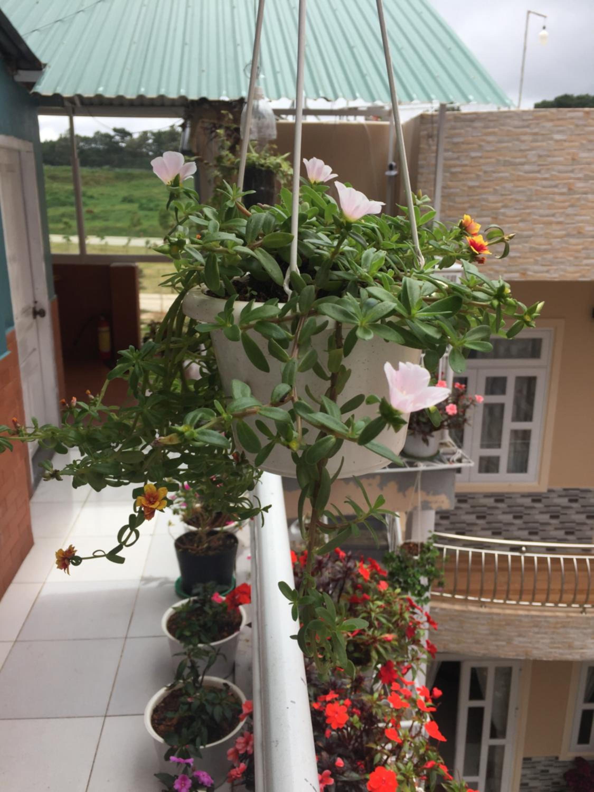 Photo 39