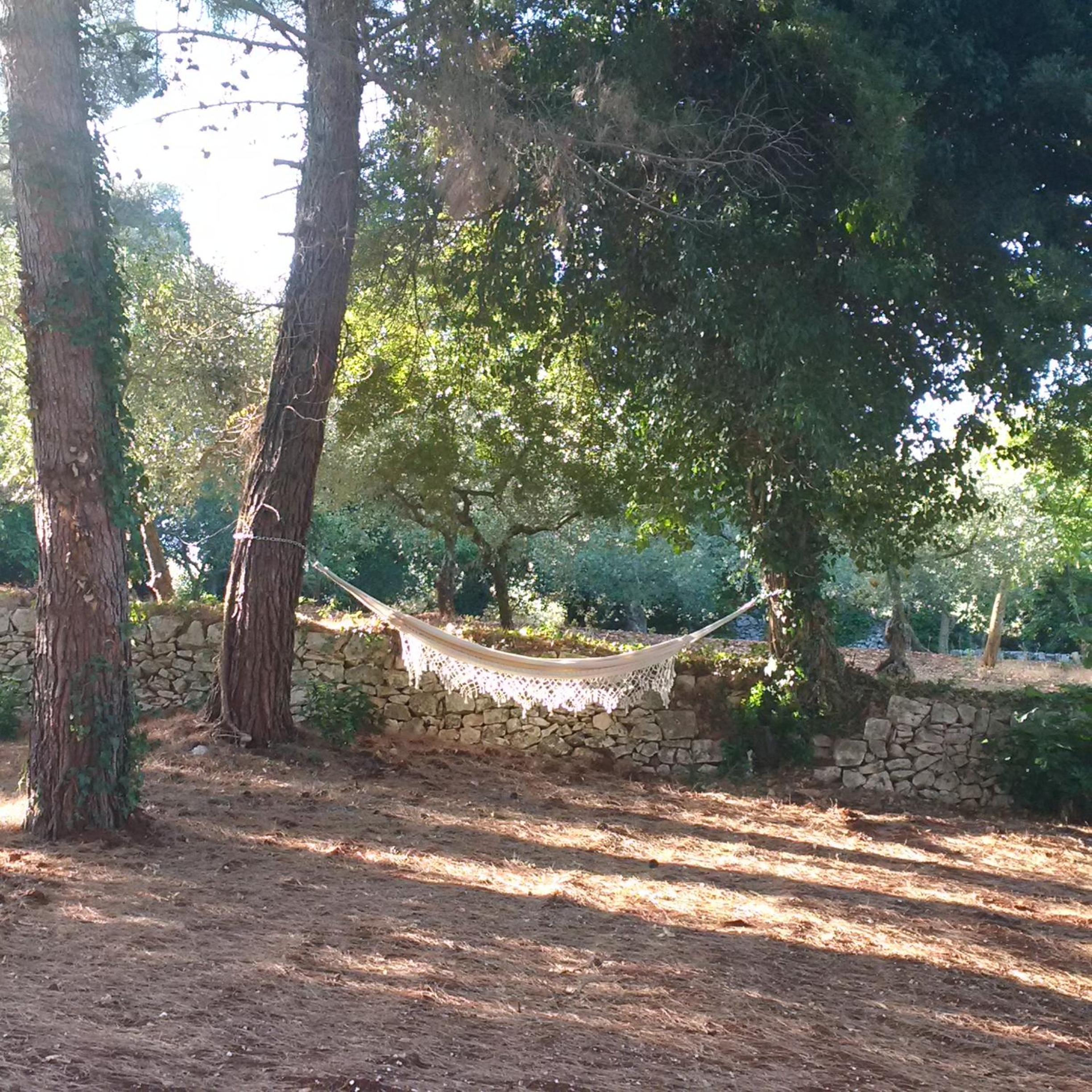 Pignarè en Locorotondo