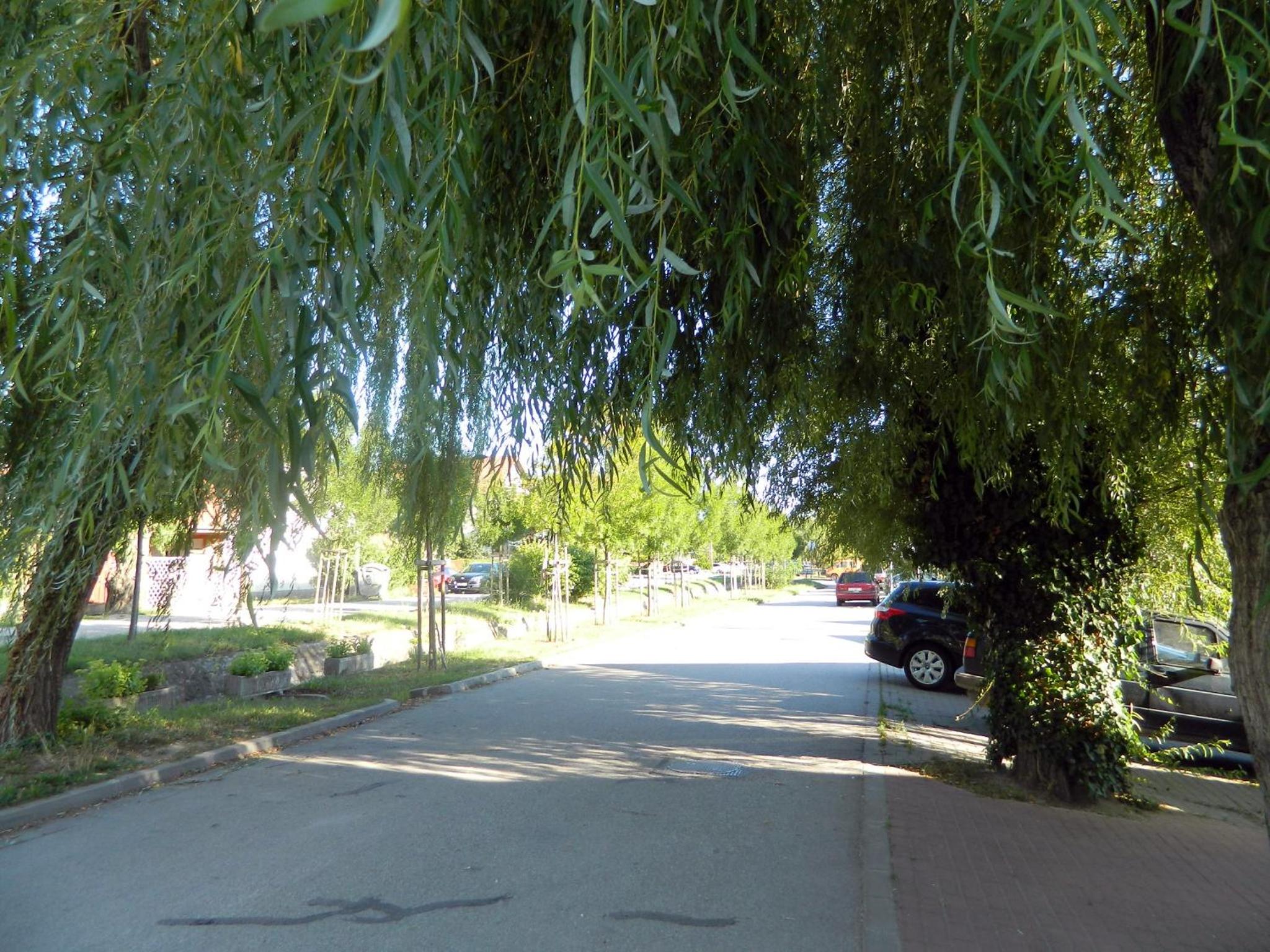Photo 27