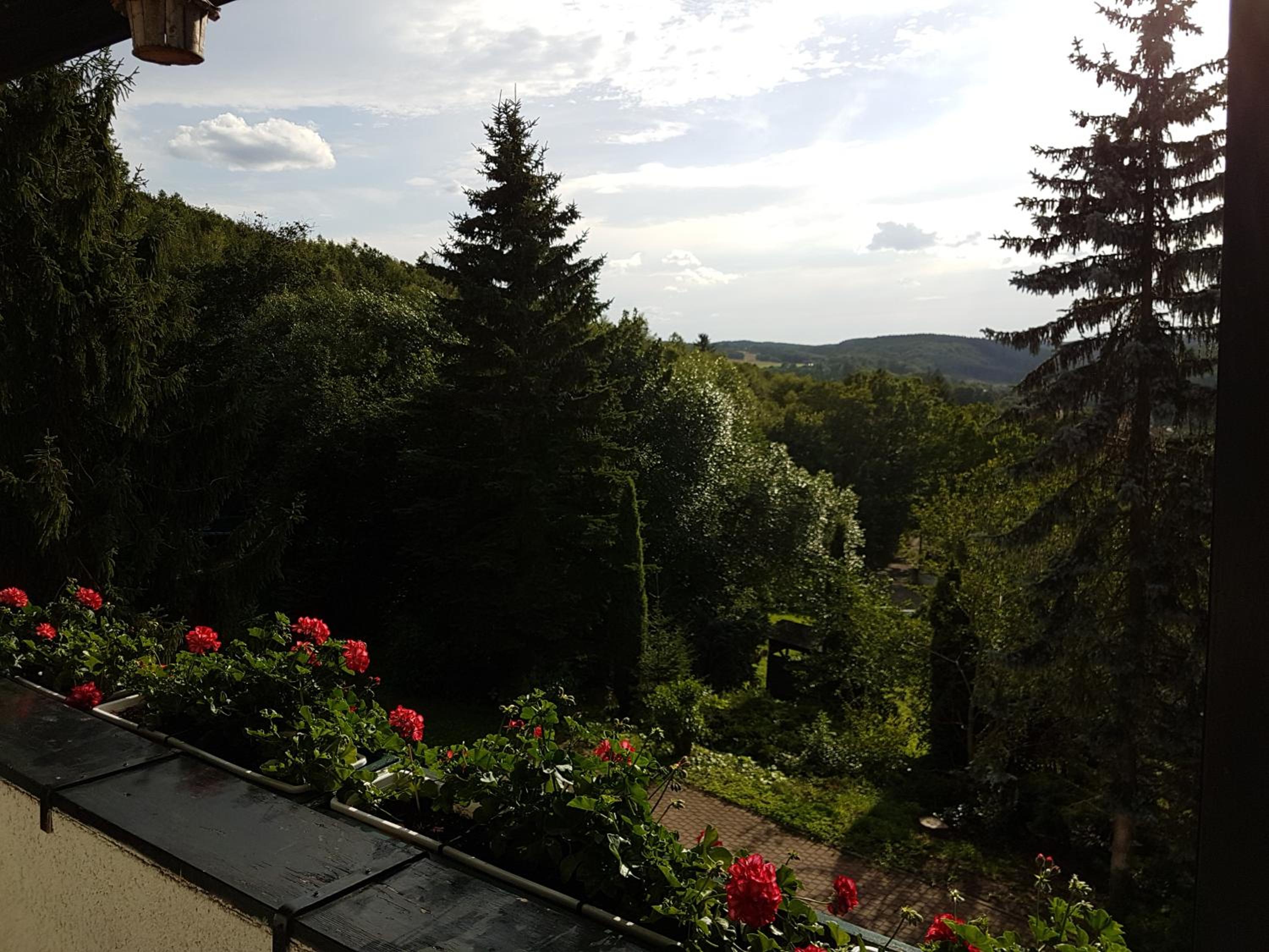 Schweizer Haus Wippra en Wippra