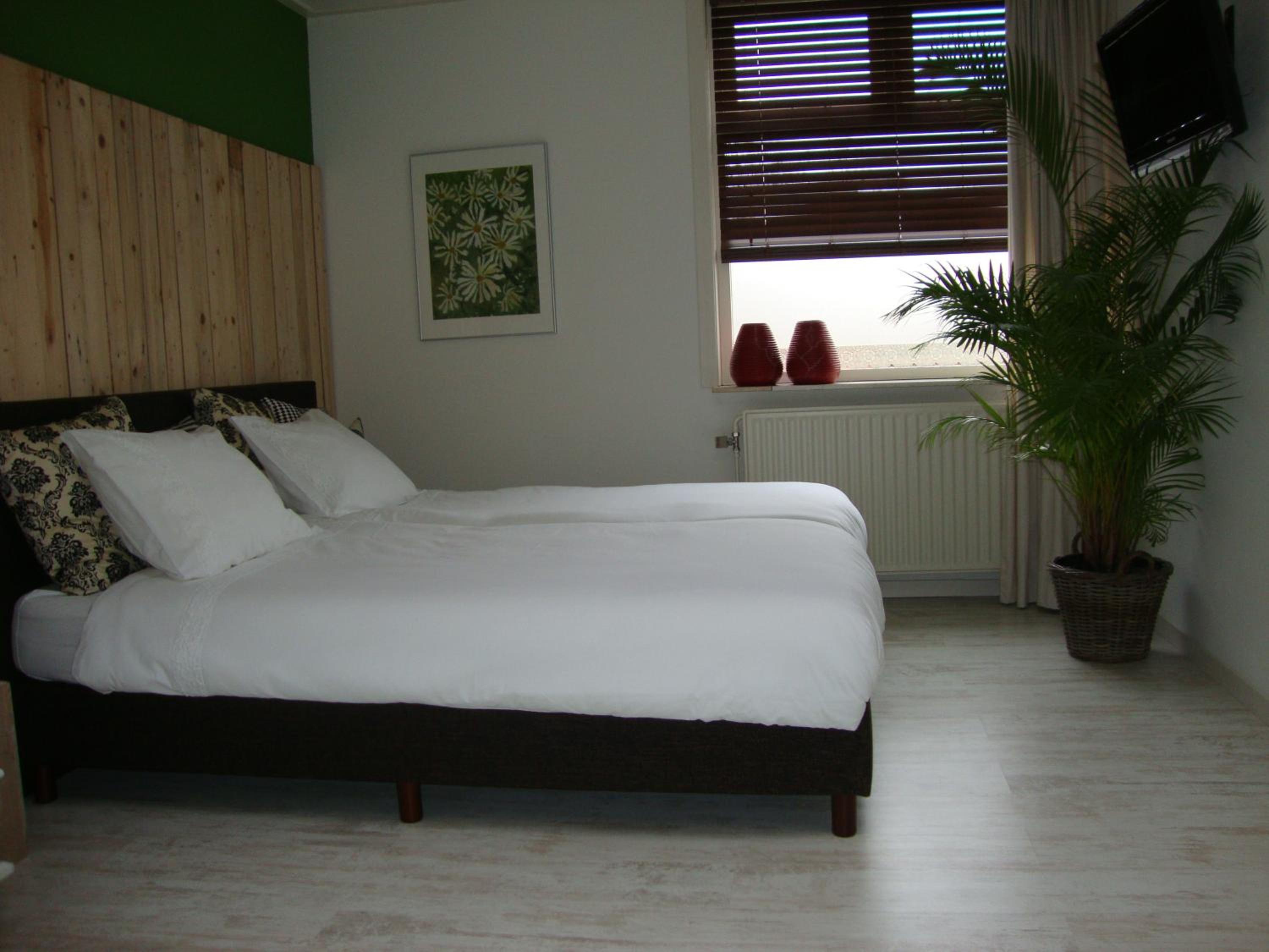 Logement-B&B Safier
