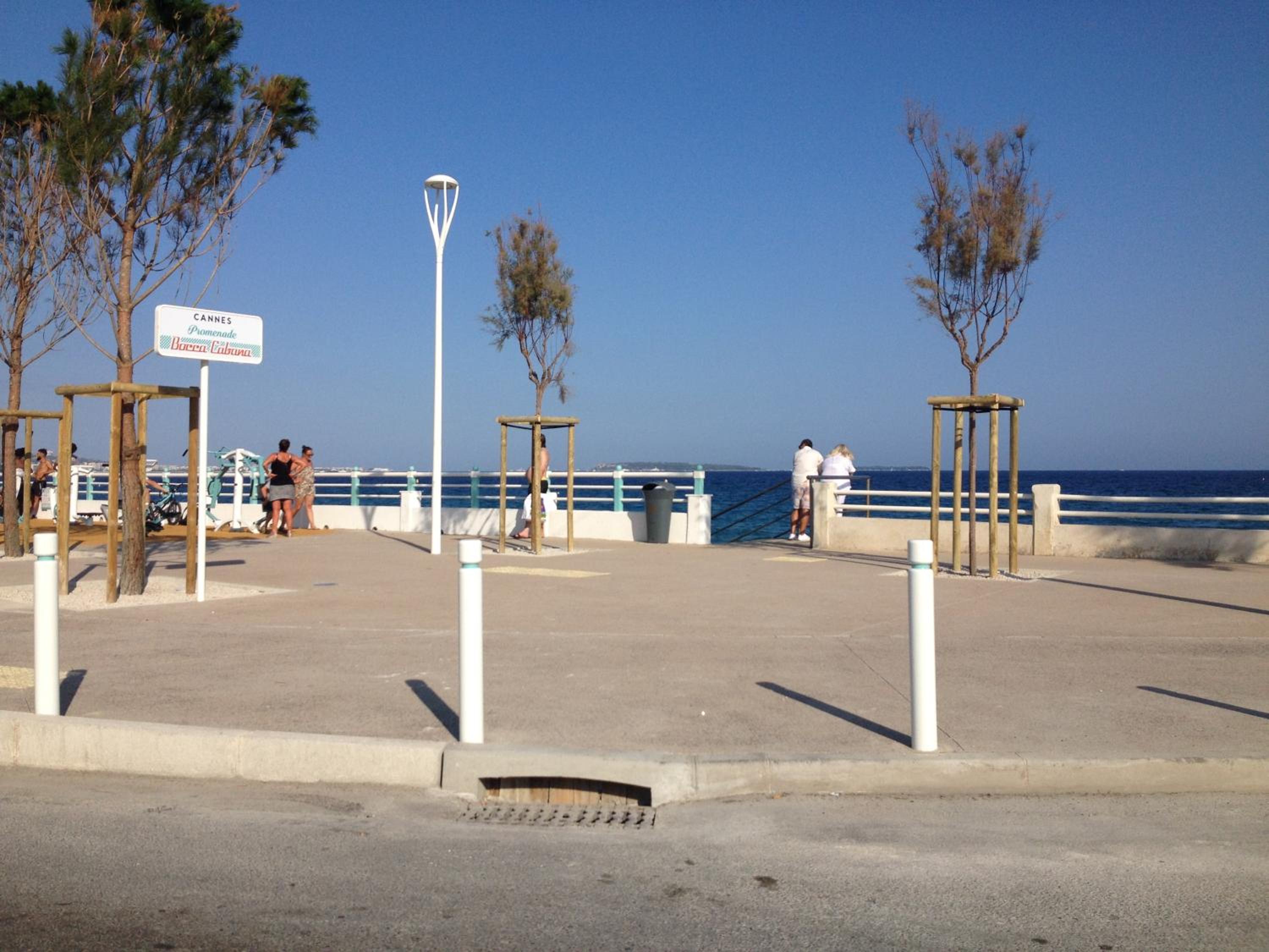 Photo 11