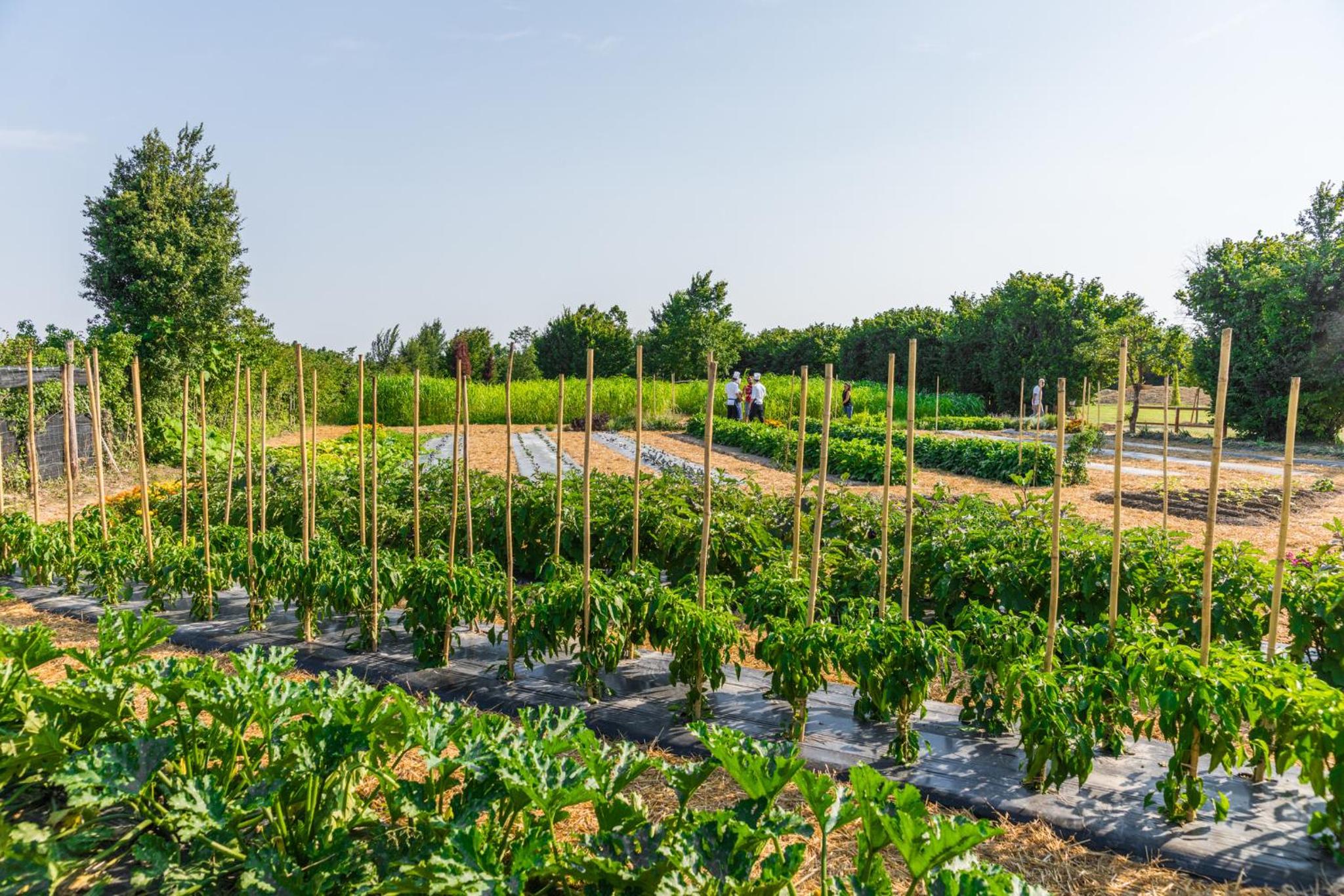 La Posa degli Agri
