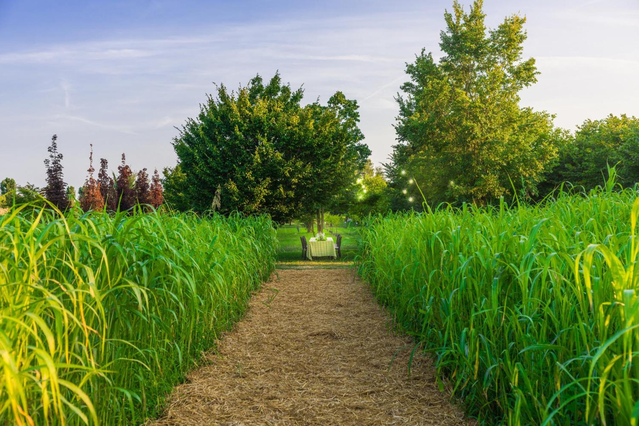 La Posa degli Agri