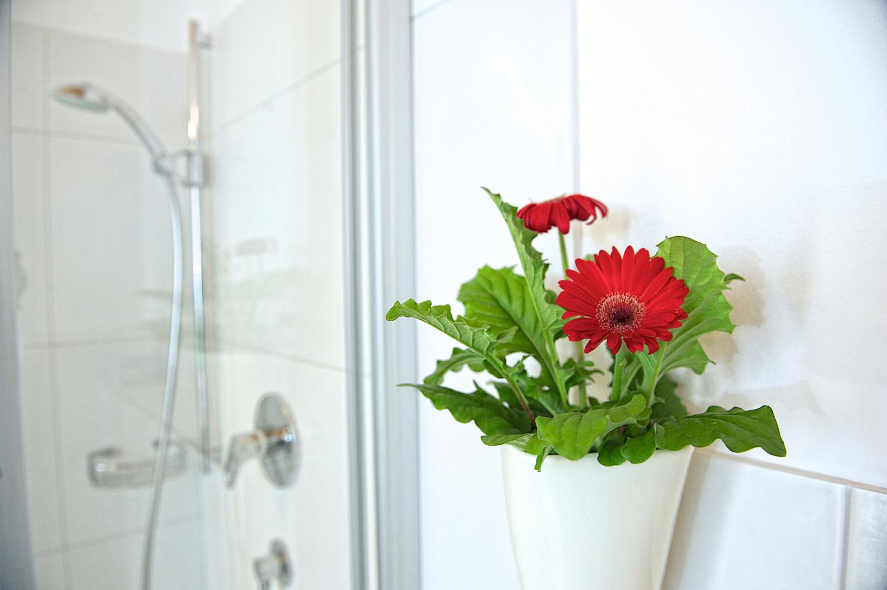 Greenhome Appartement