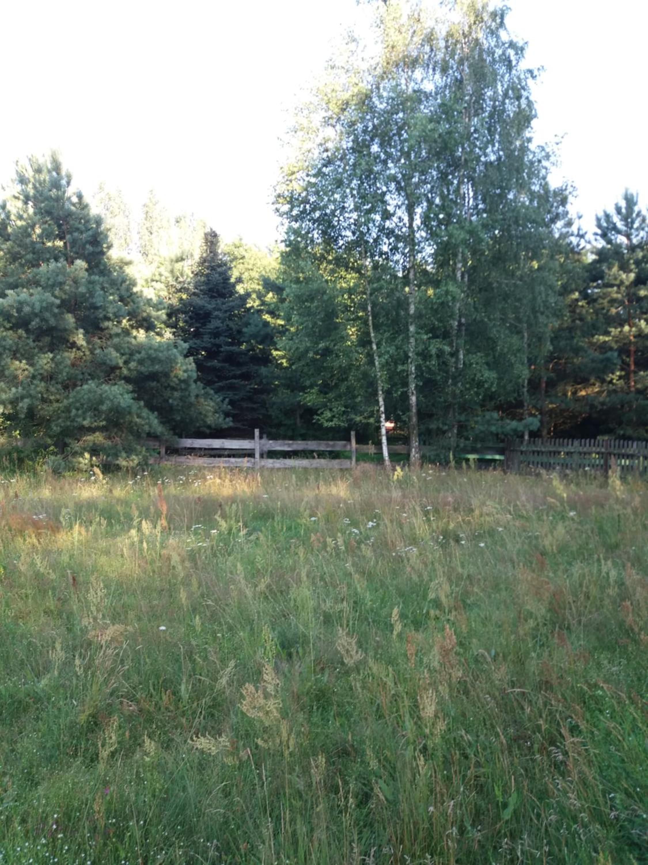 Photo 34
