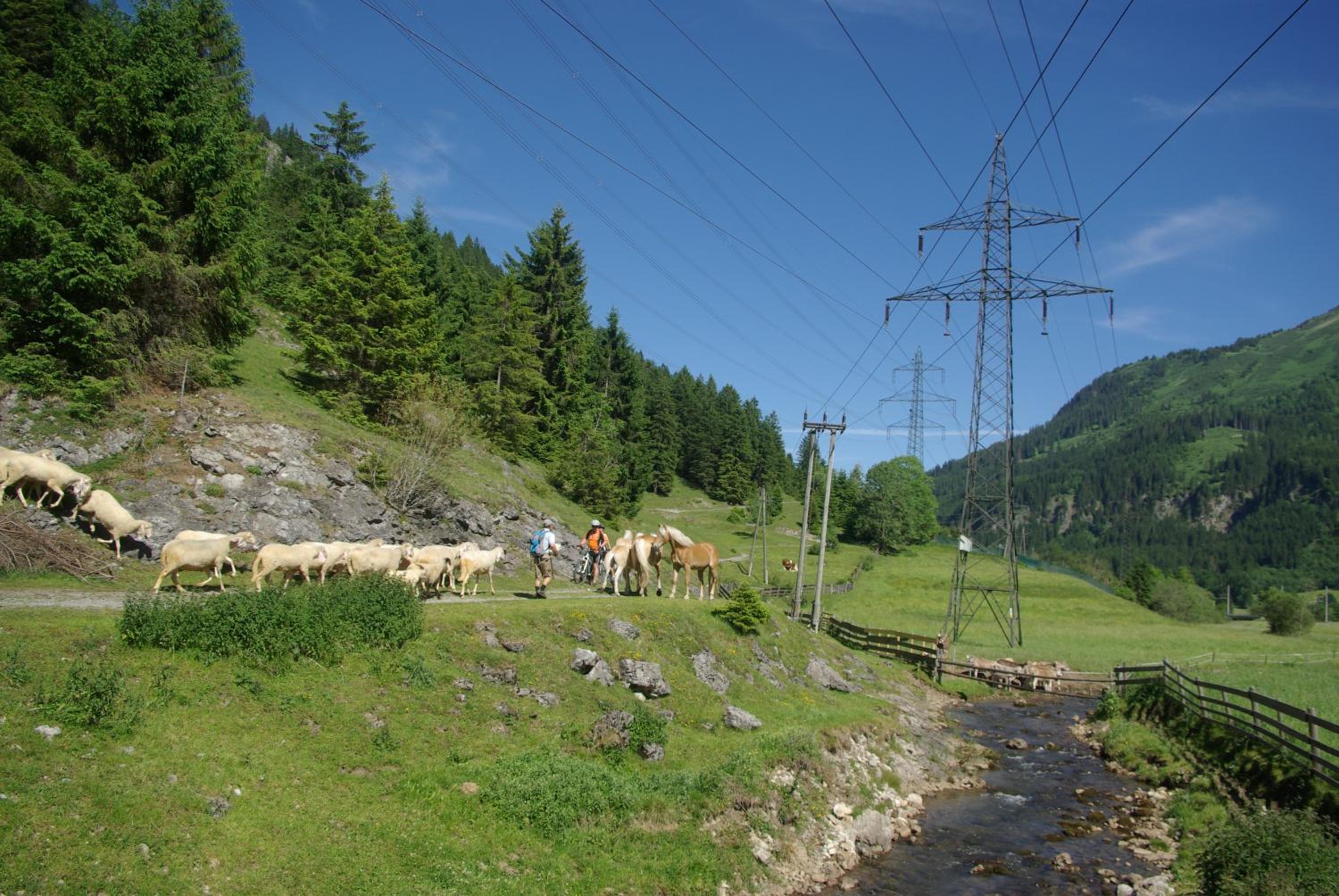 Haus Kohlberghof
