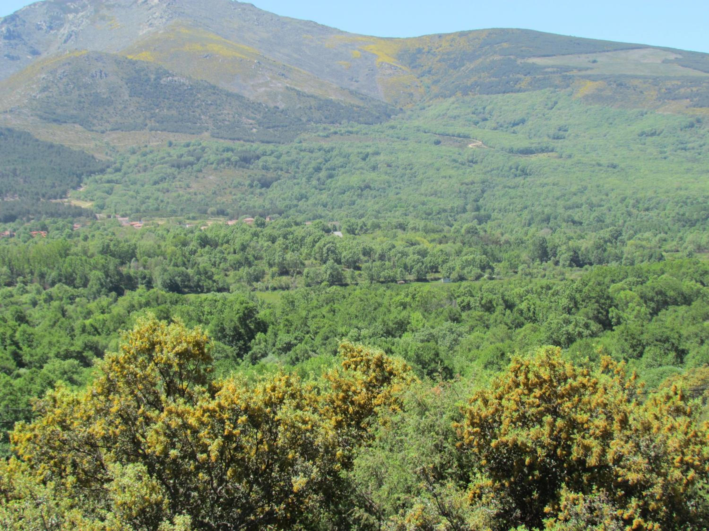 Casa Rural la Esperilla de Gredos