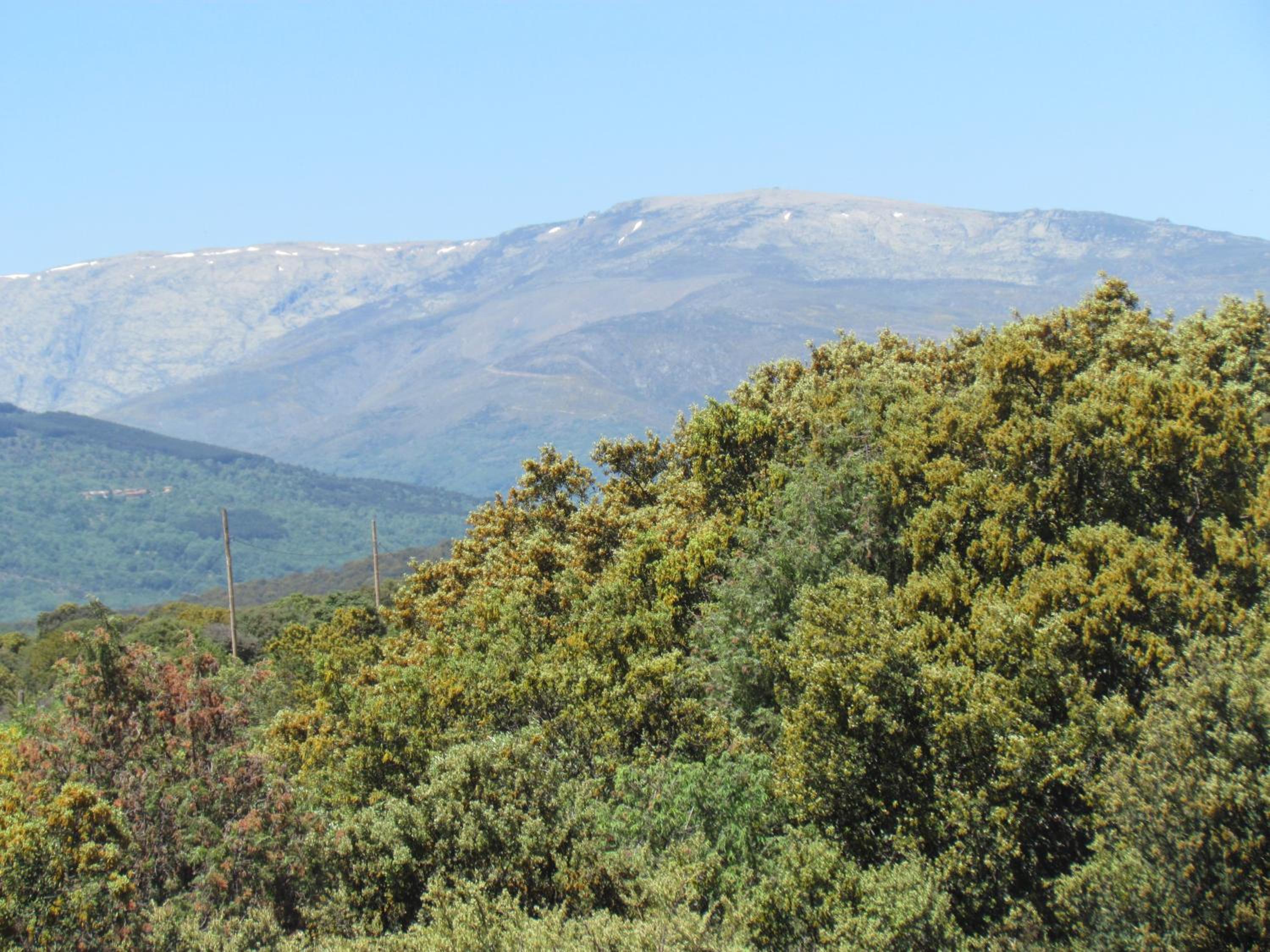 Casa Rural la Esperilla de Gredos