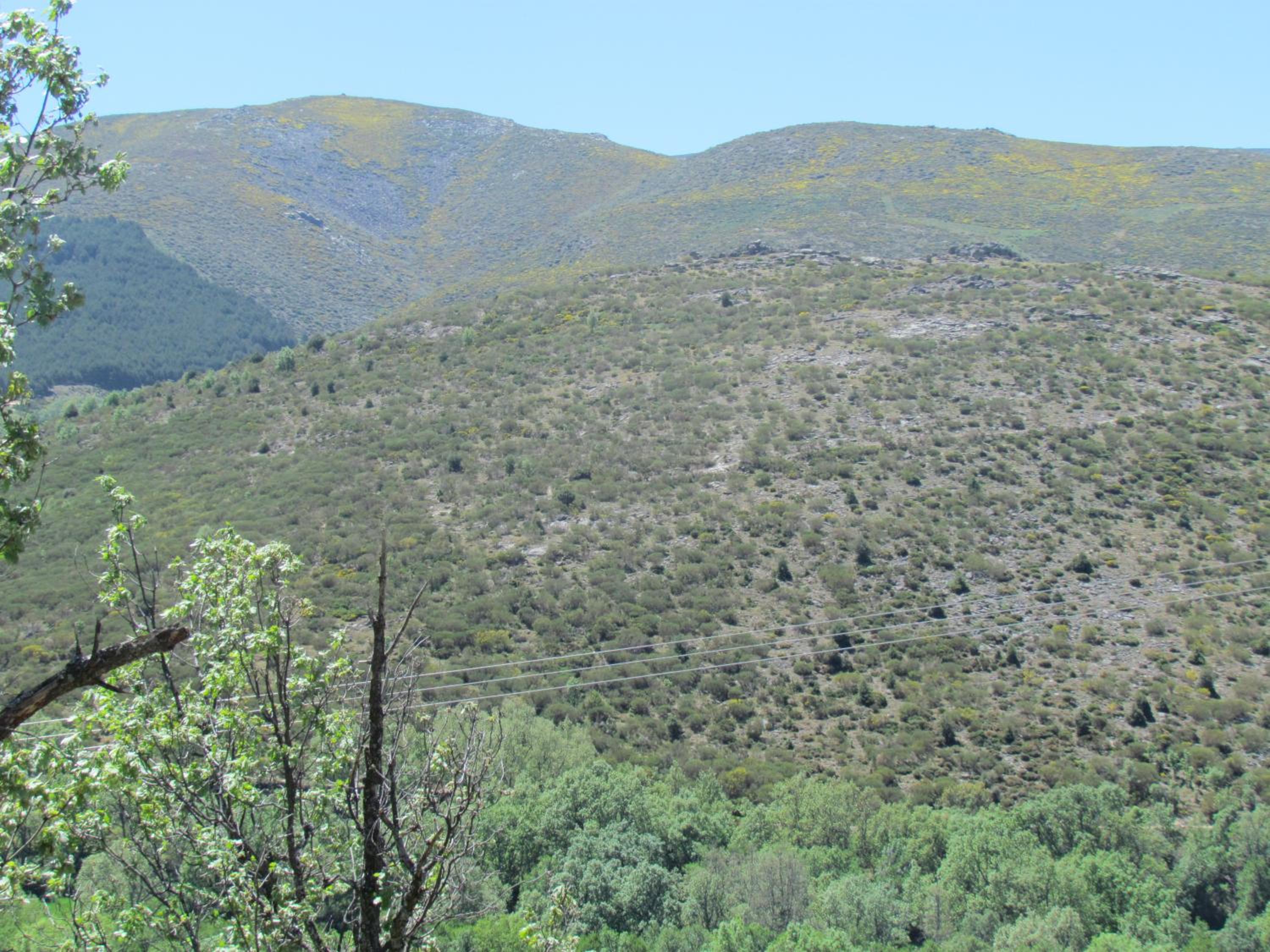 Casa Rural la Esperilla de Gredos