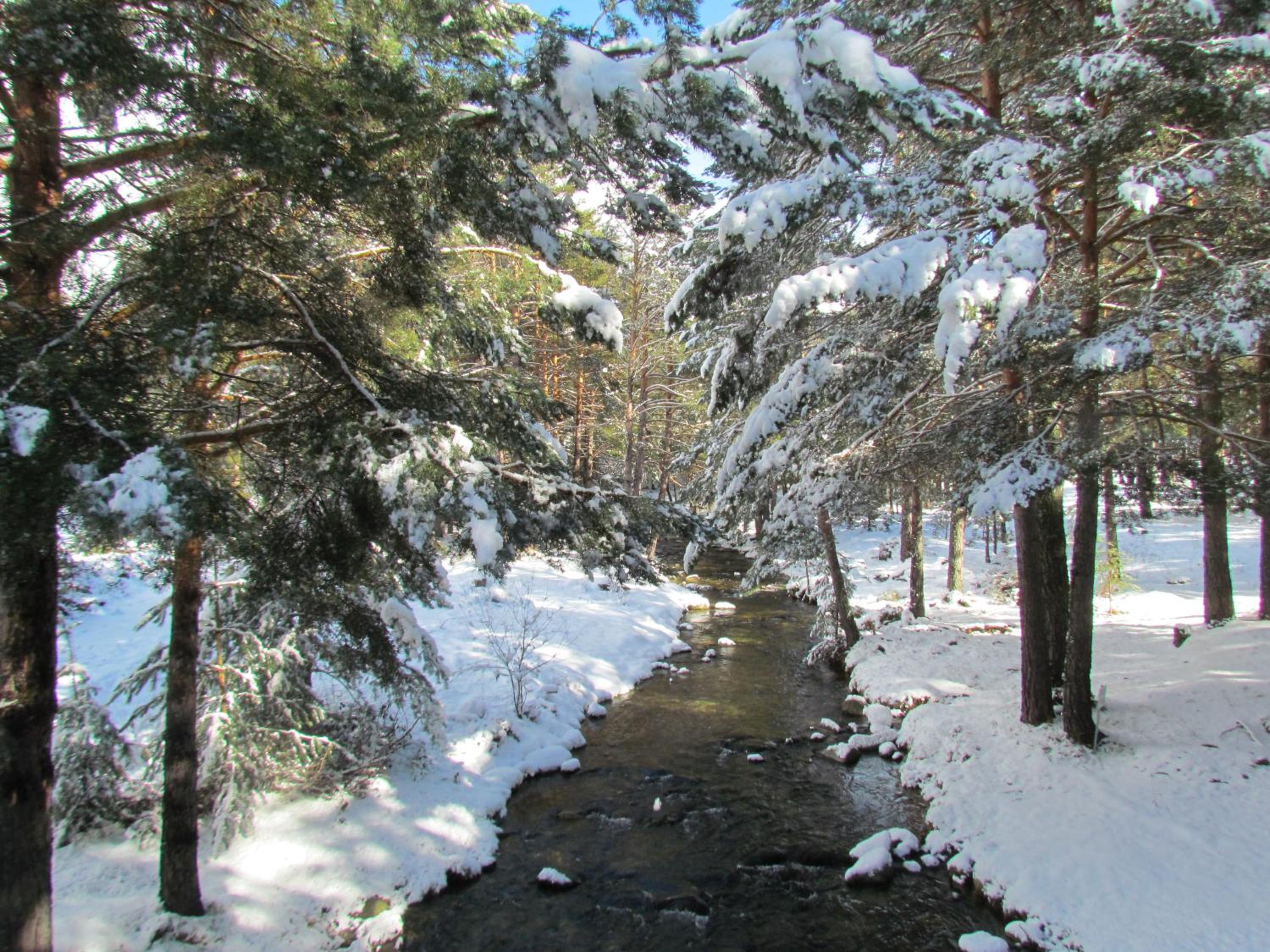 Casa Rural la Esperilla de Gredos