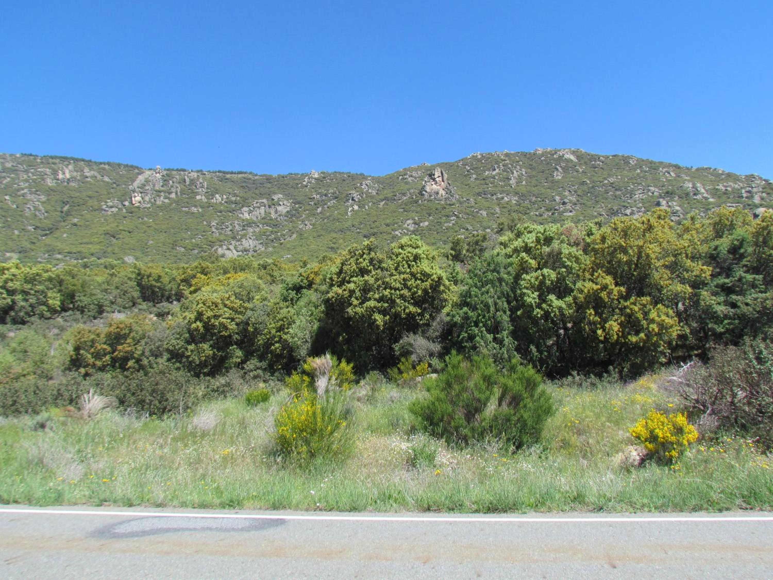 Casa Rural la Esperilla de Gredos
