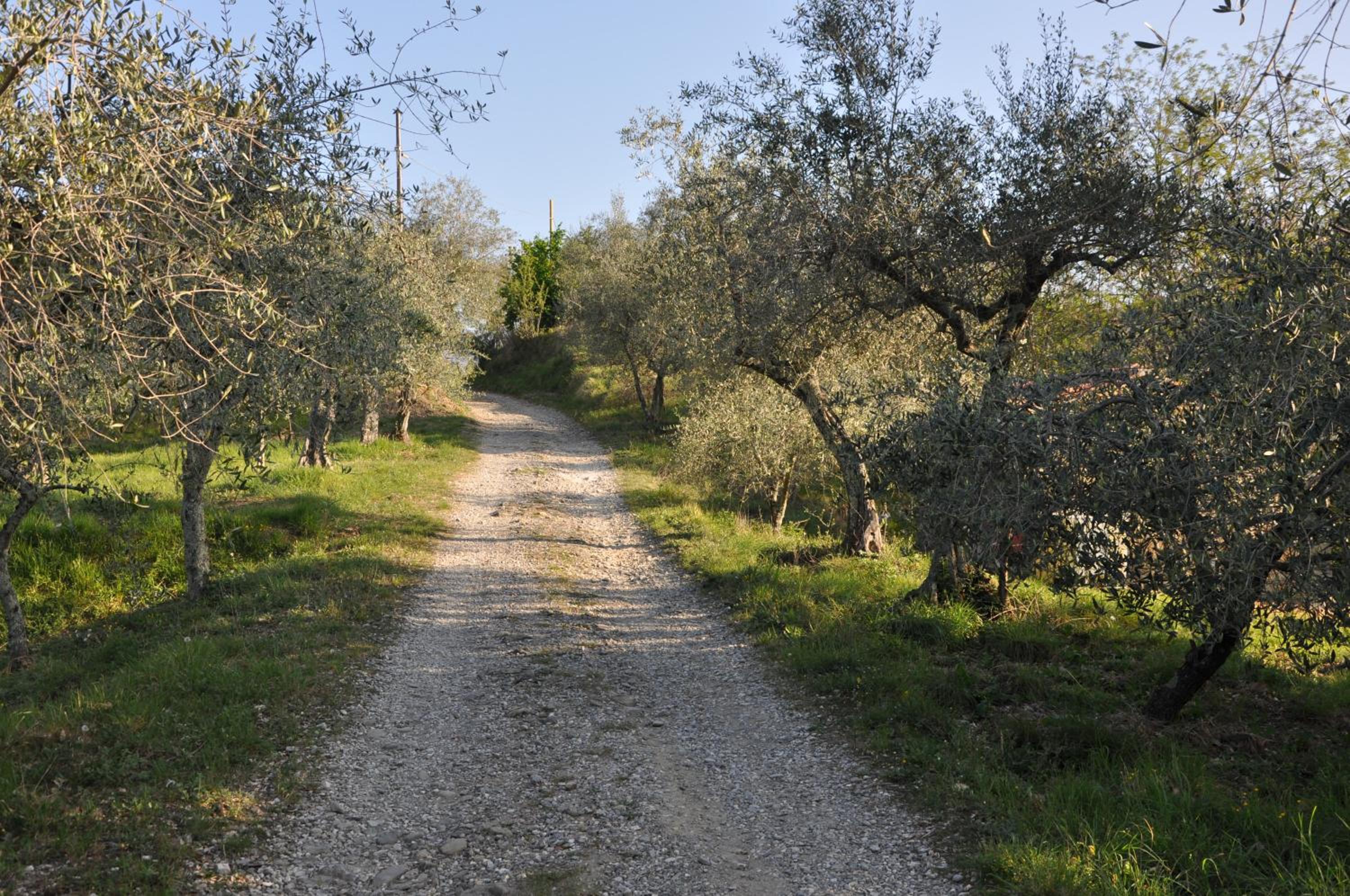 La Gioiella