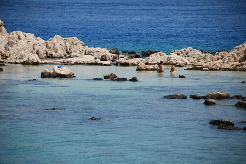 Agnanti Studios