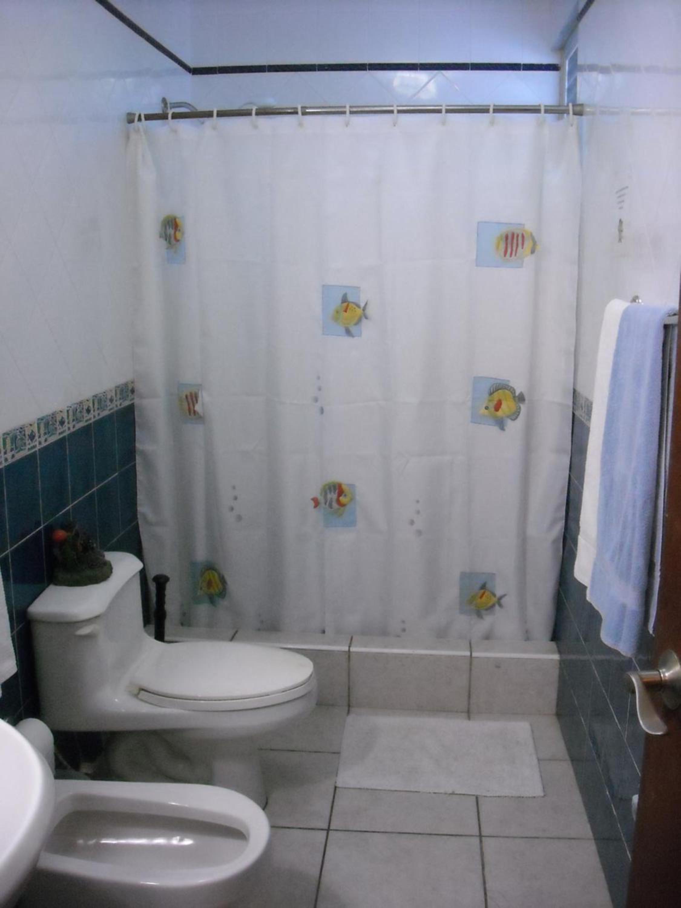 Photo 29
