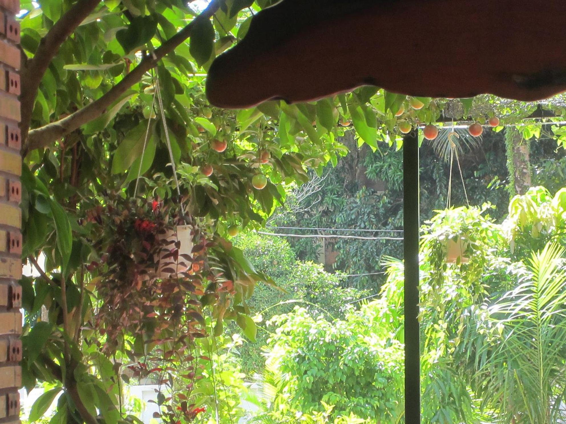 Gia Thanh Phu Quoc Guest House
