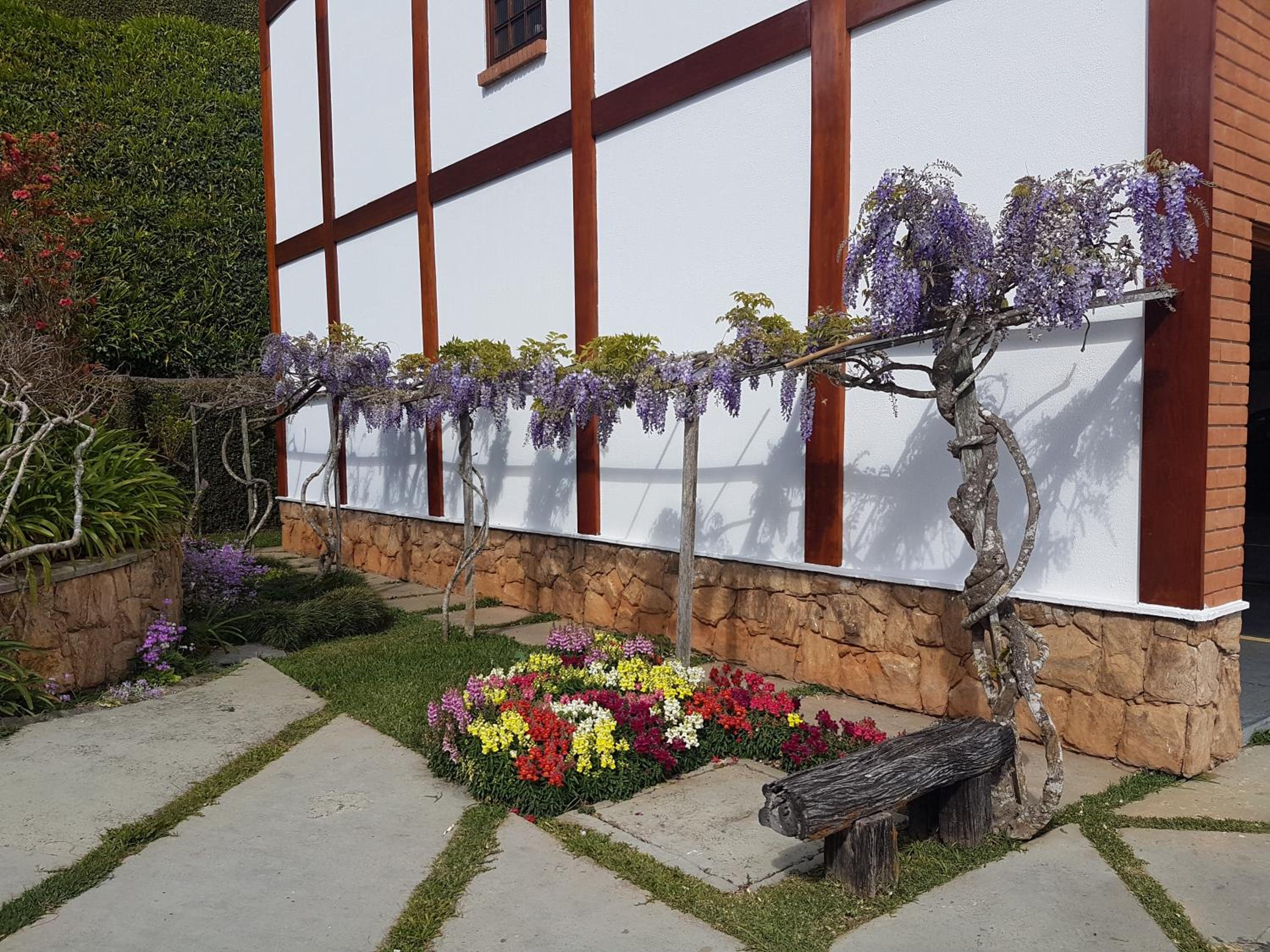 Photo 12