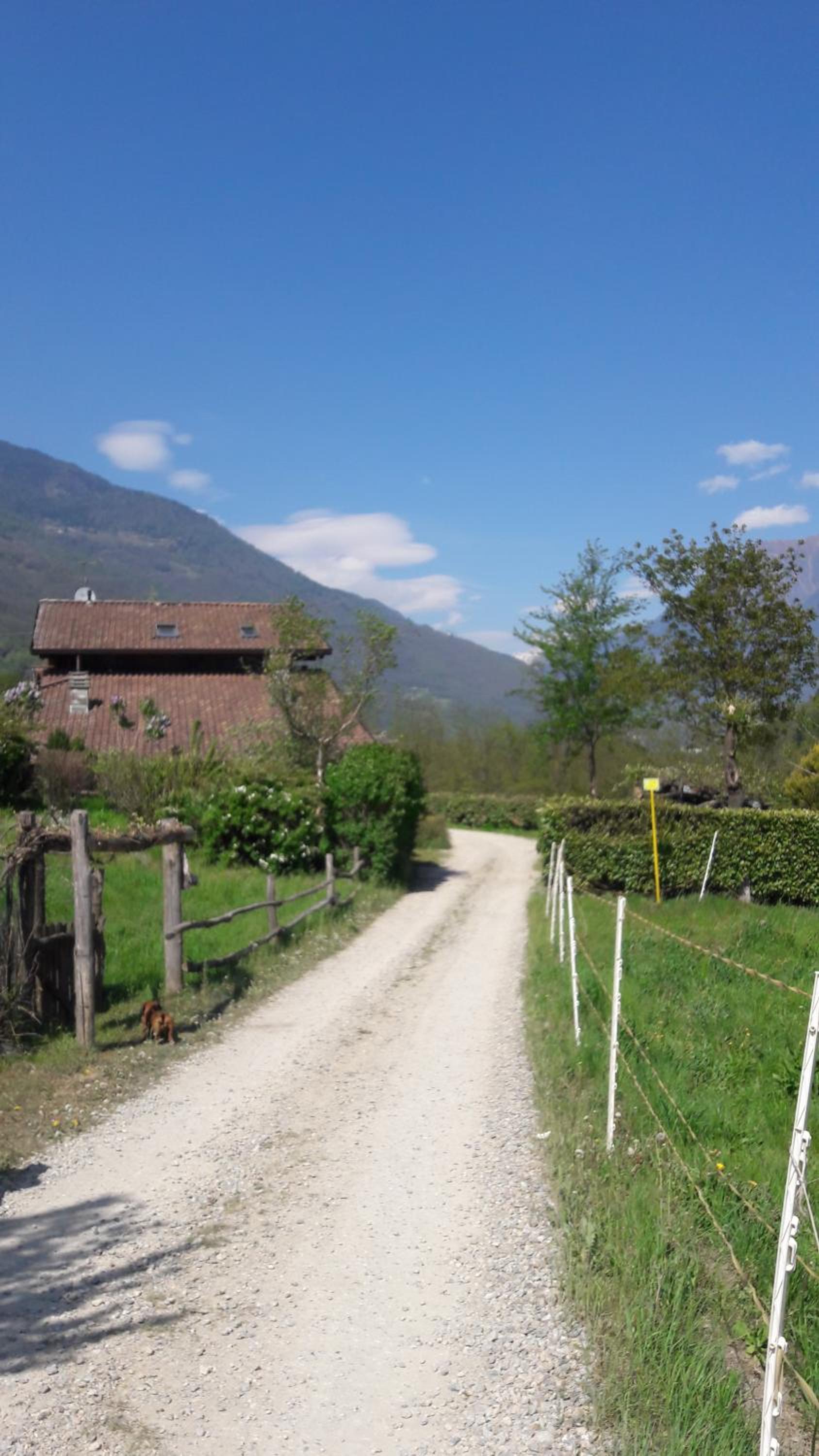 La Via Camuna