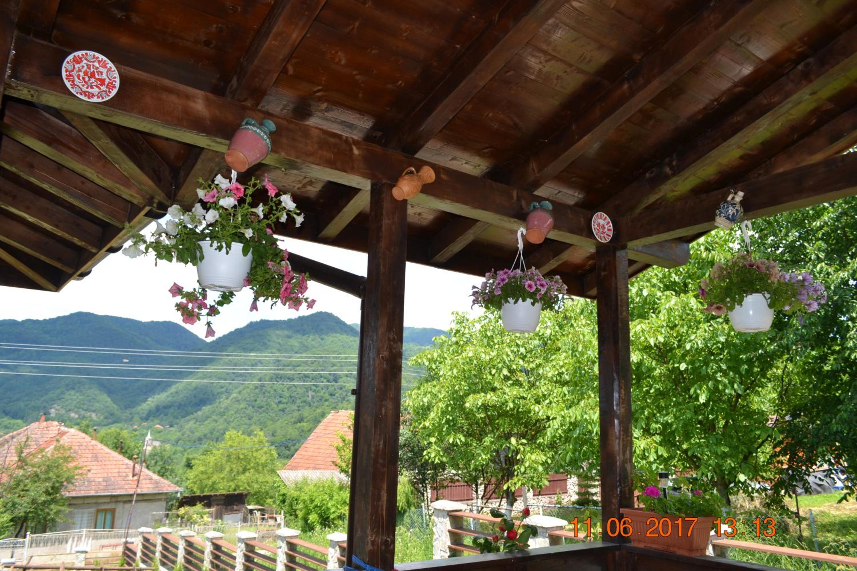 Photo 47