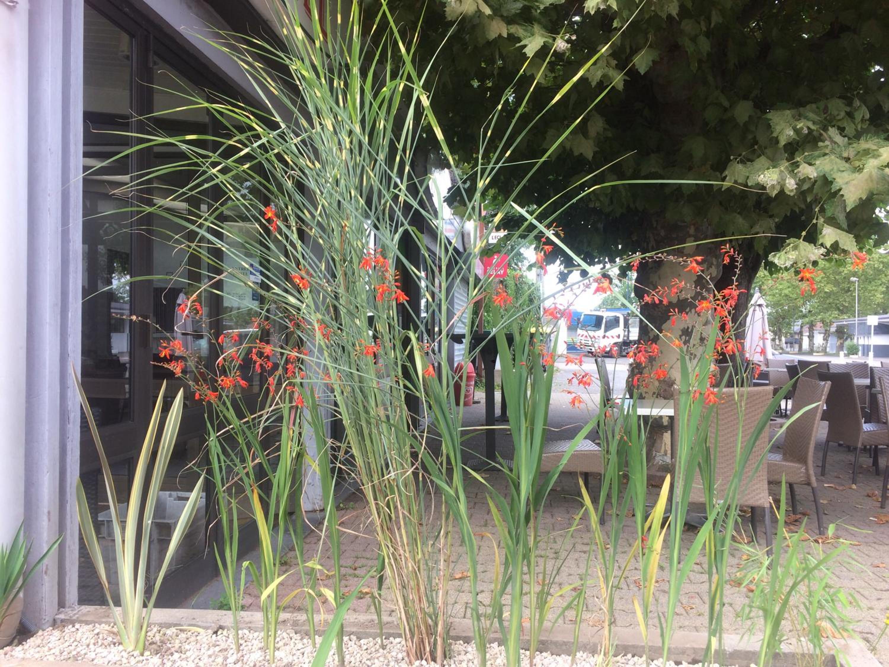 La Hourquie Café photo 3