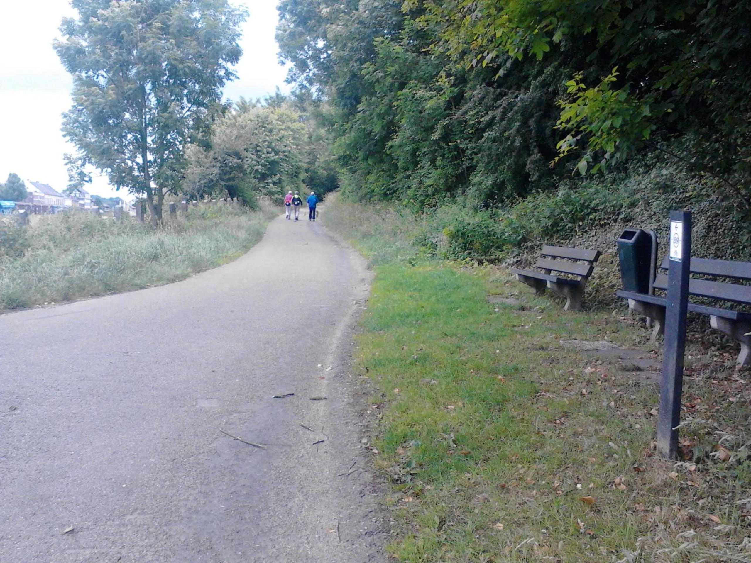 Photo 23