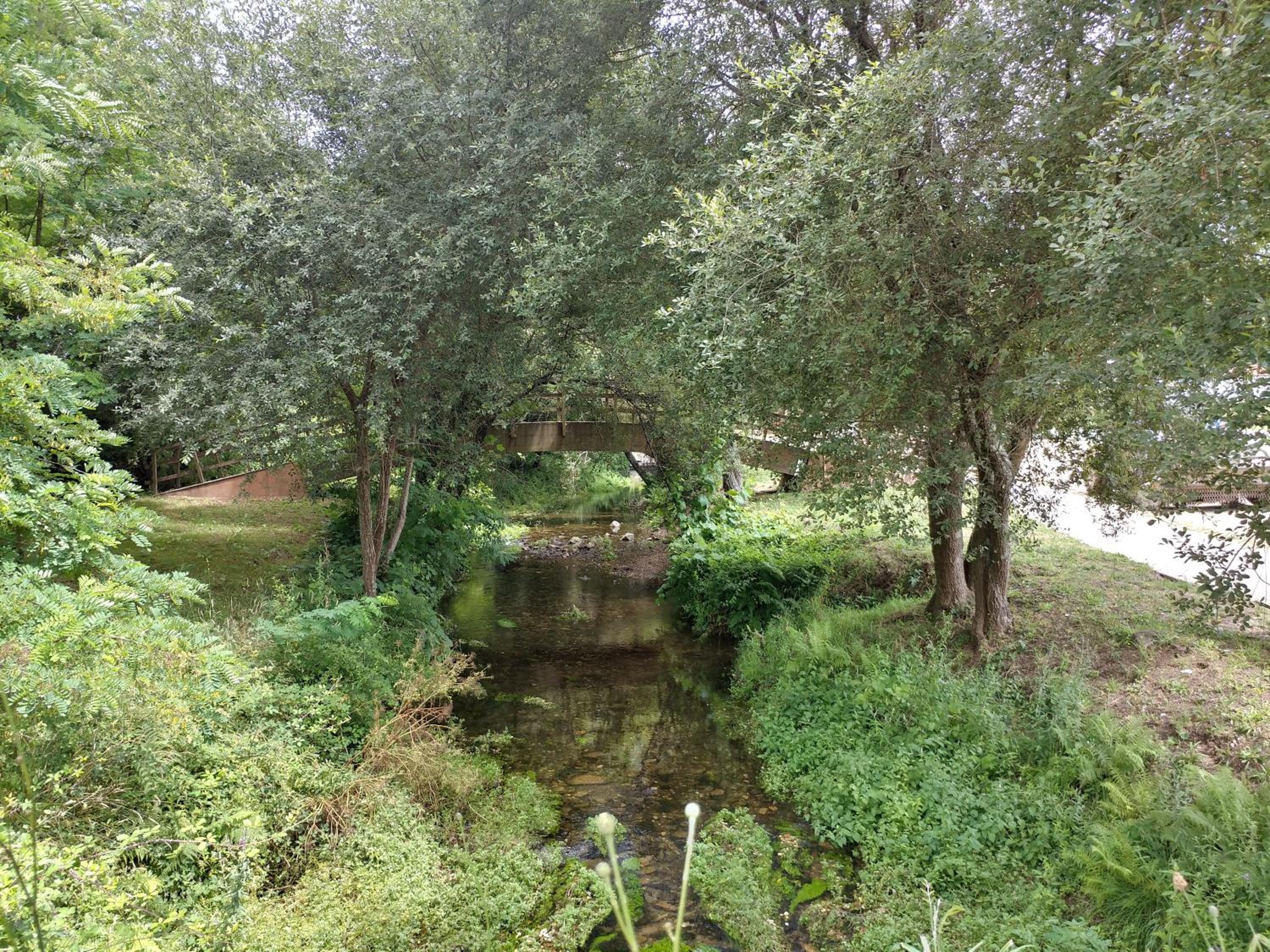 Photo 49