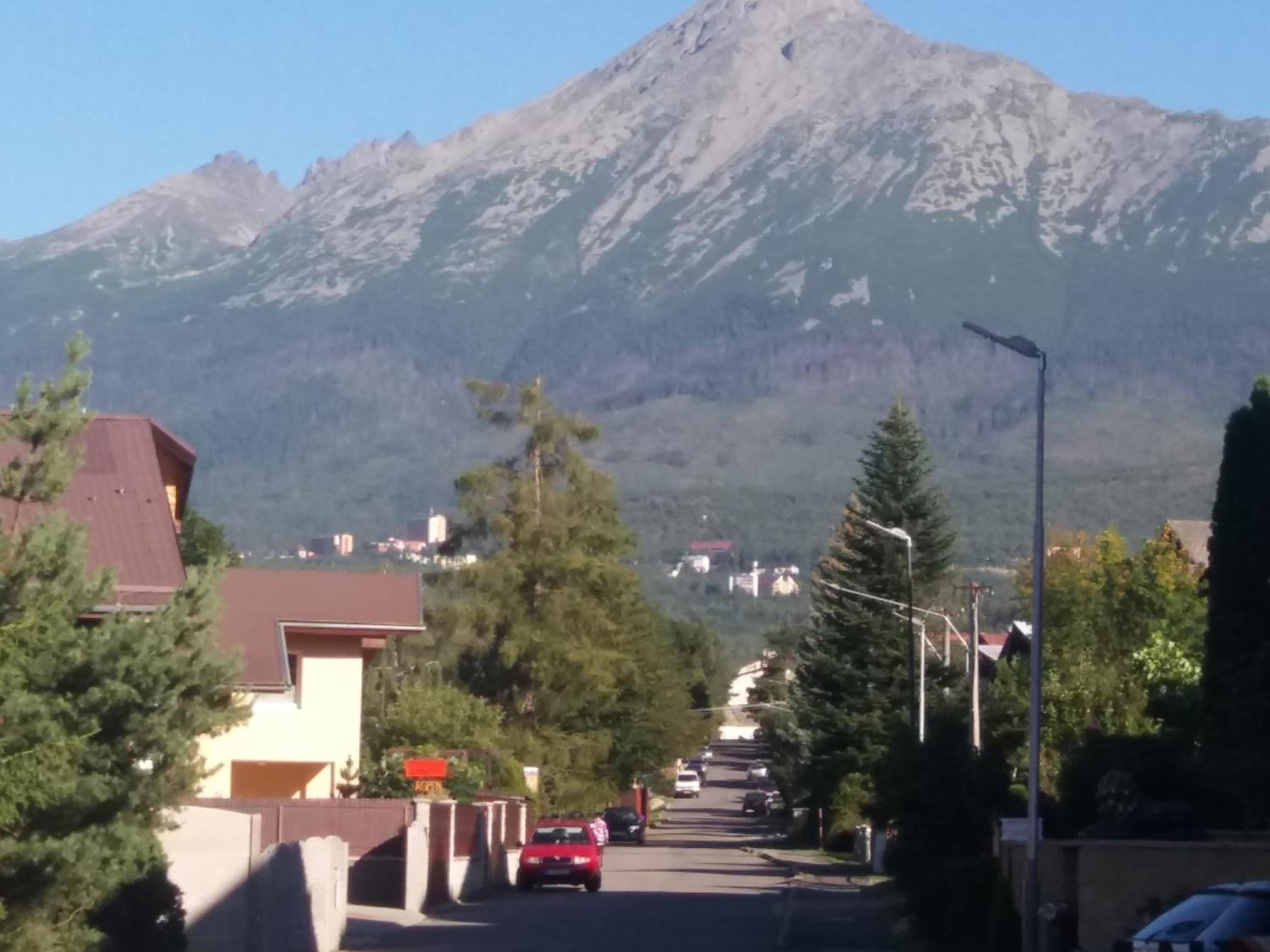 Photo 39
