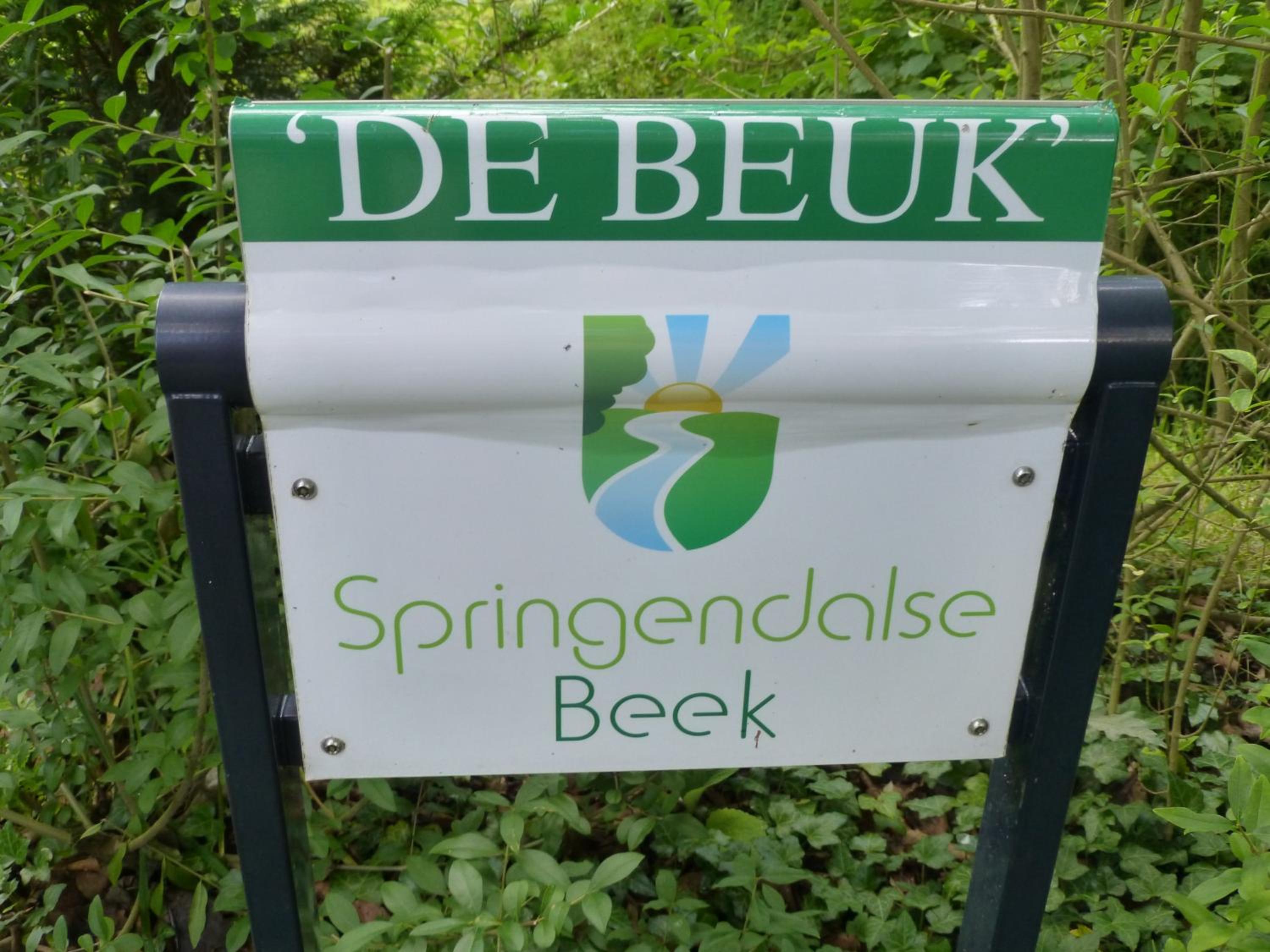 Vakantieverblijf Springendalsebeek view 2
