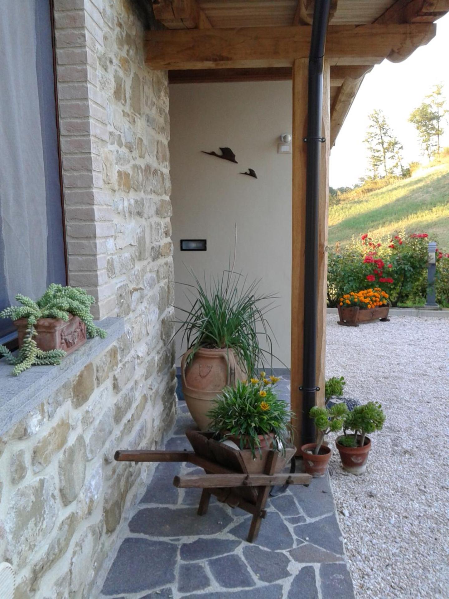 Photo 31