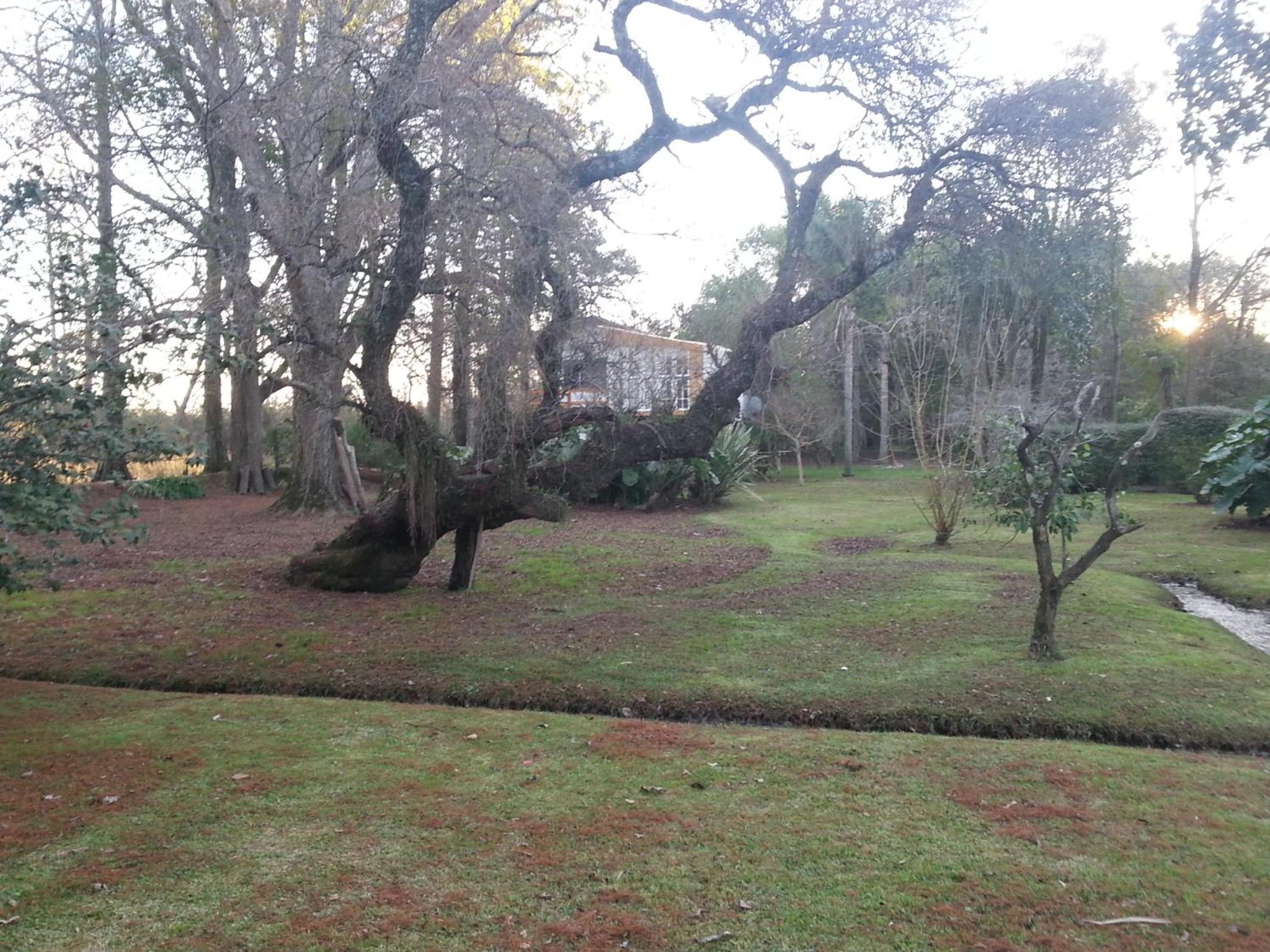 Casa del Bosque