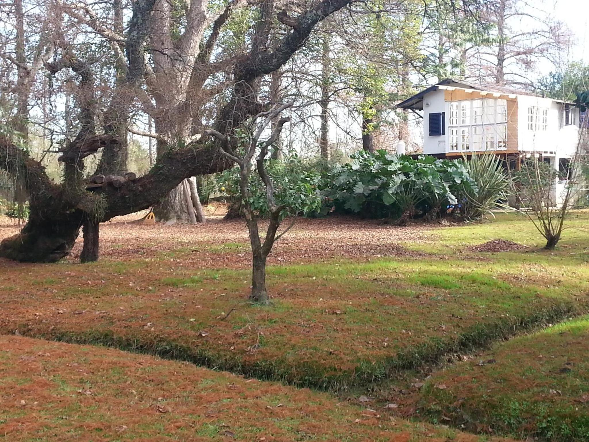 Casa del Bosque