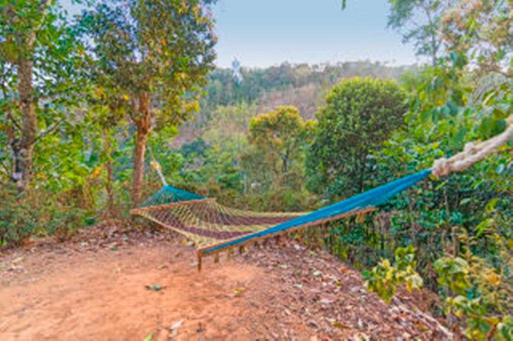 Sunleo Spice Villas & Homestay view 2