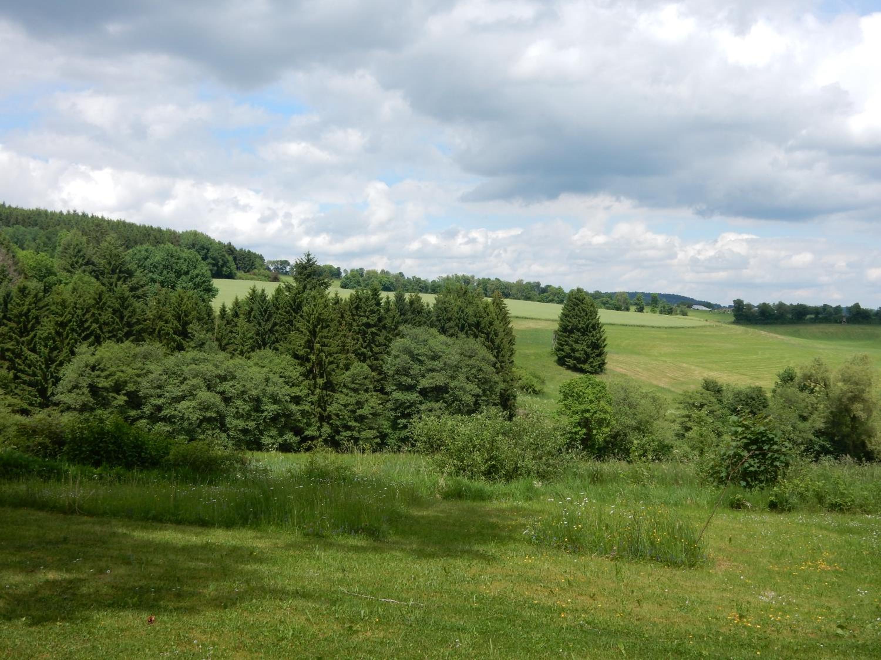 Haus am Wald