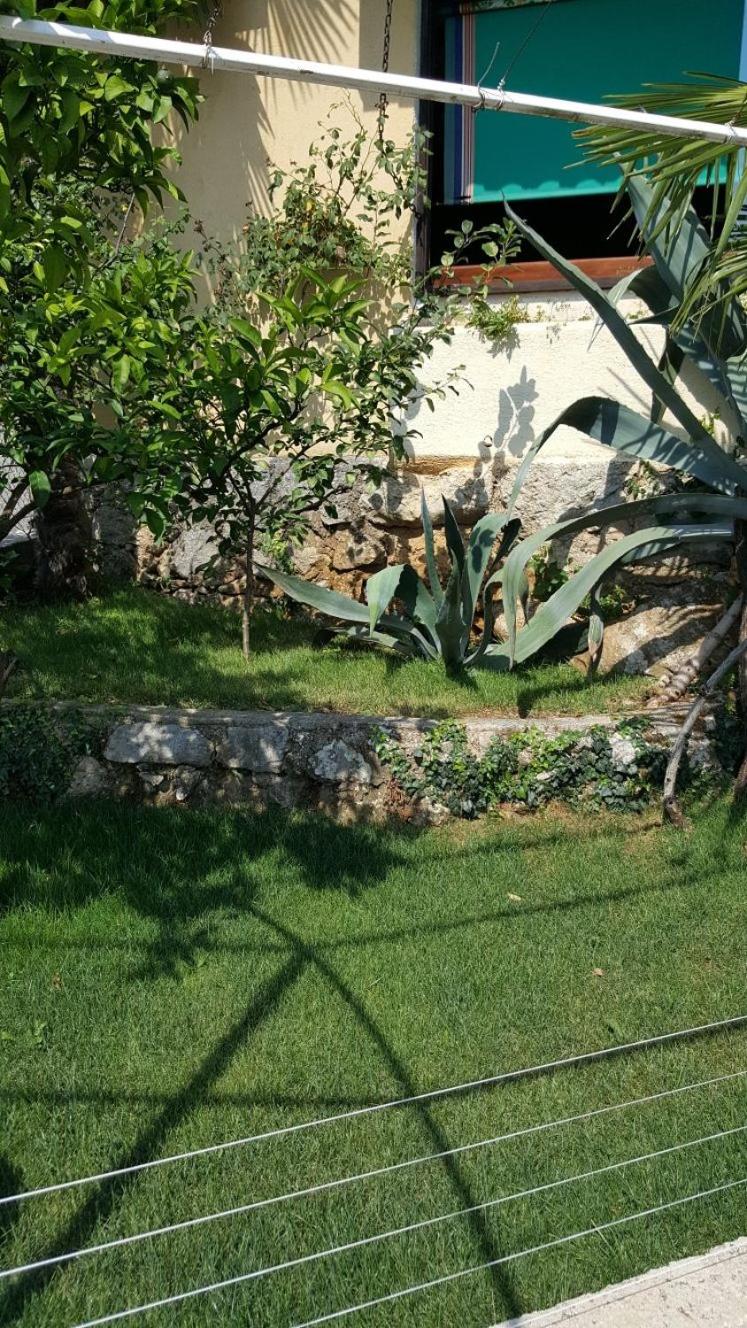 Apatmani Milena, photo 18