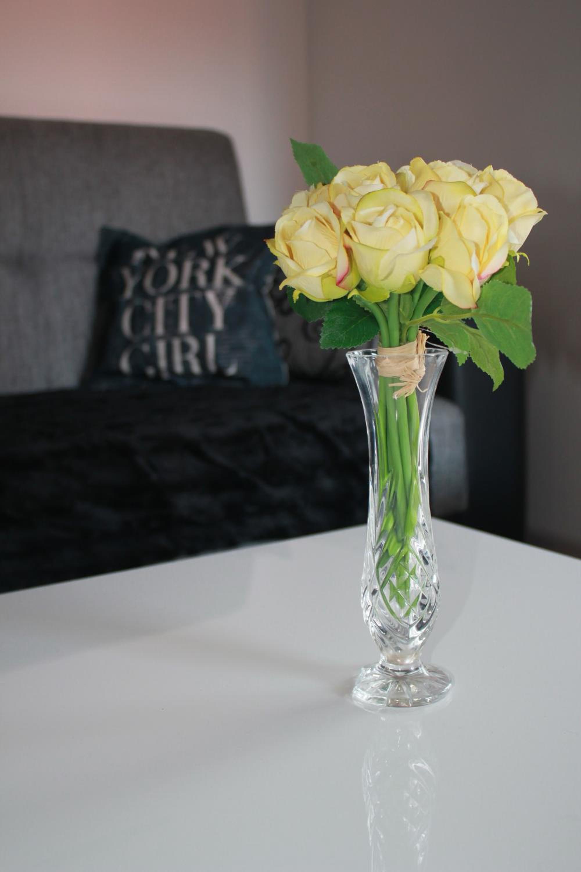 Apartment Antonia view 3