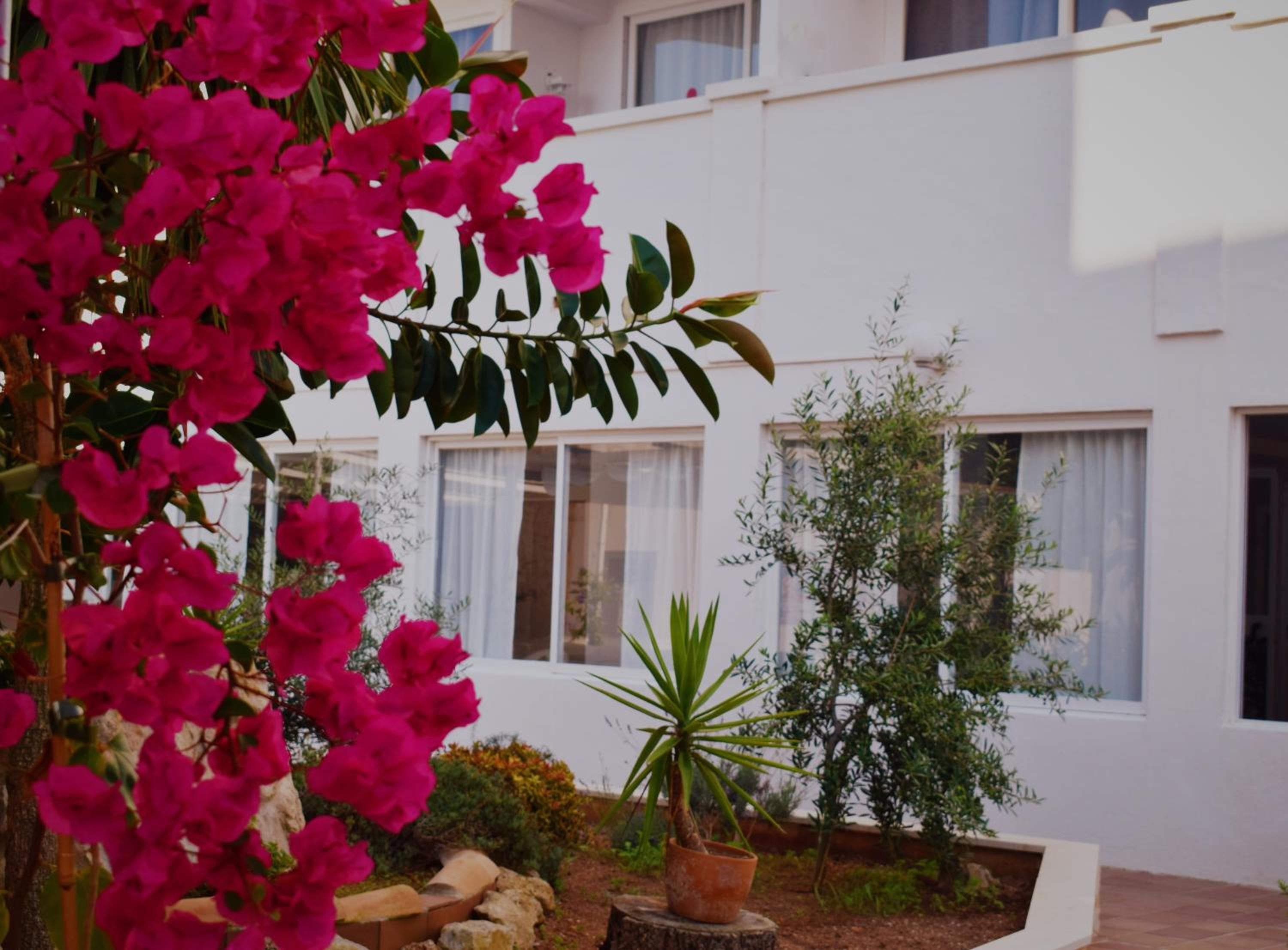 Apartamentos Sureda