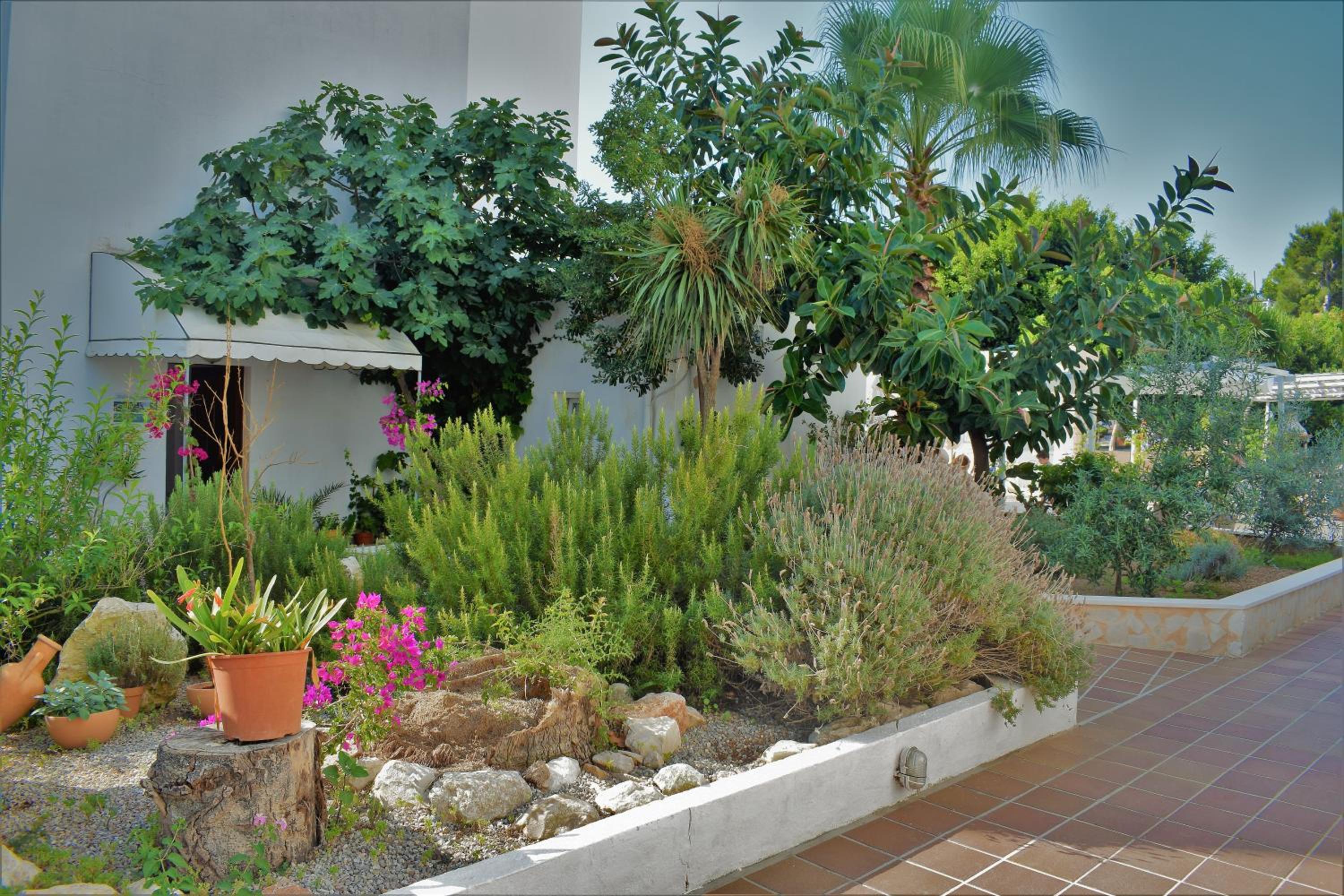 Apartamentos Sureda
