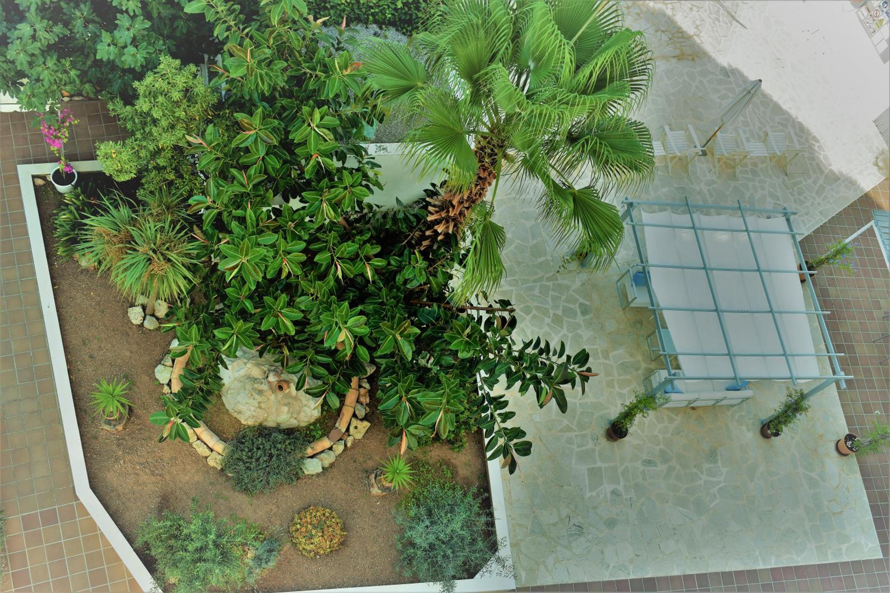 Apartamentos Sureda