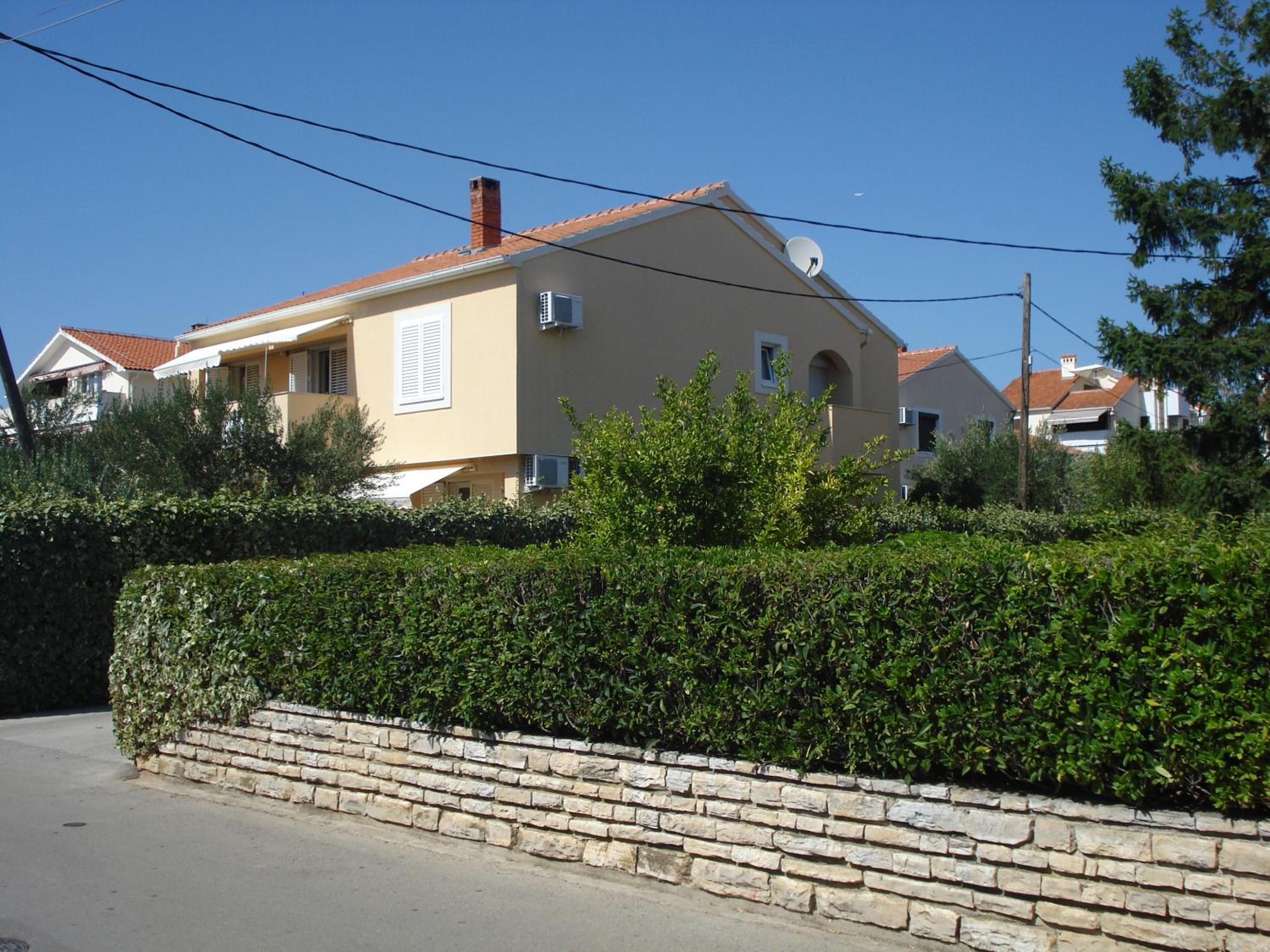 Photo 51