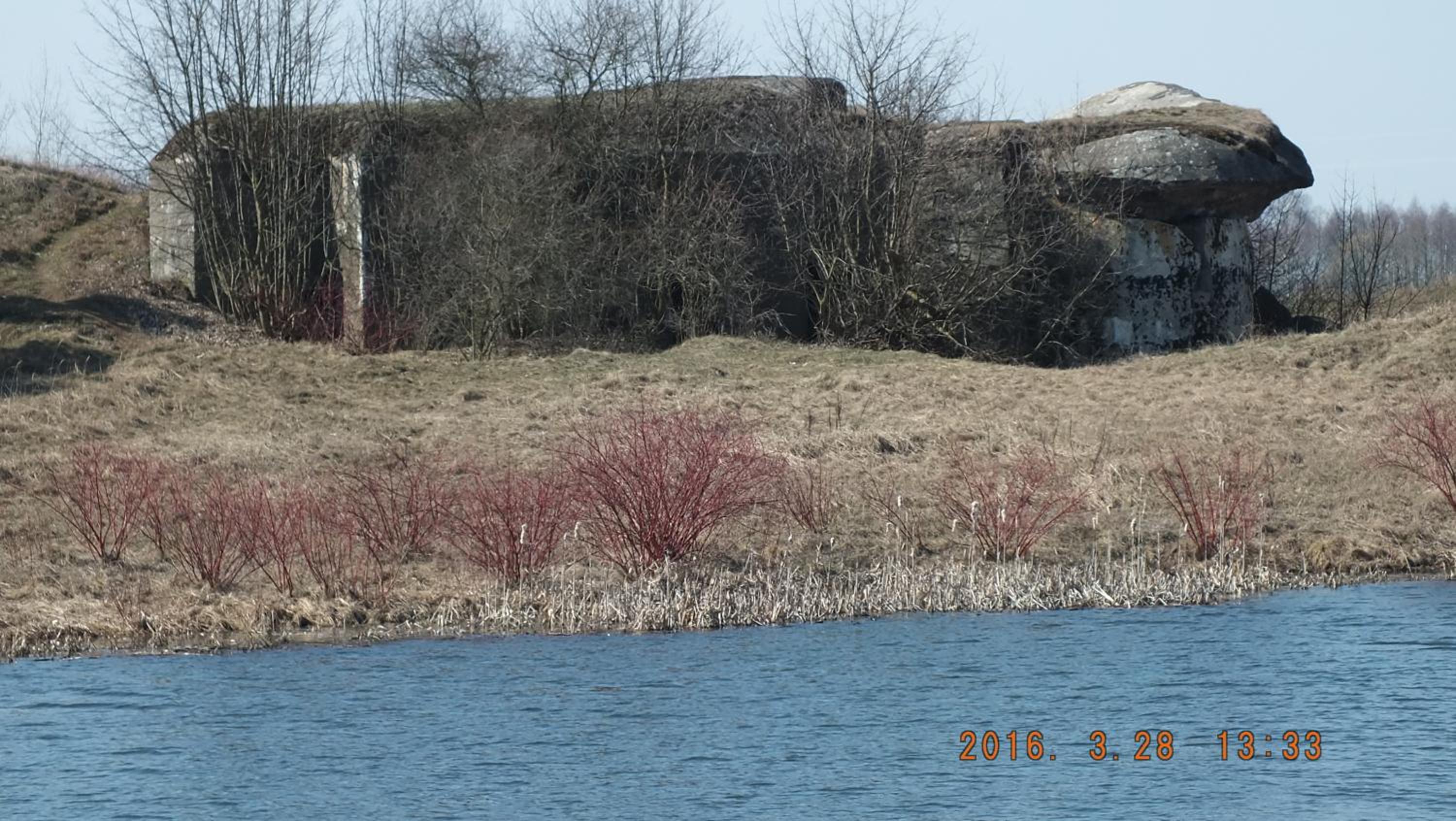 Photo 42