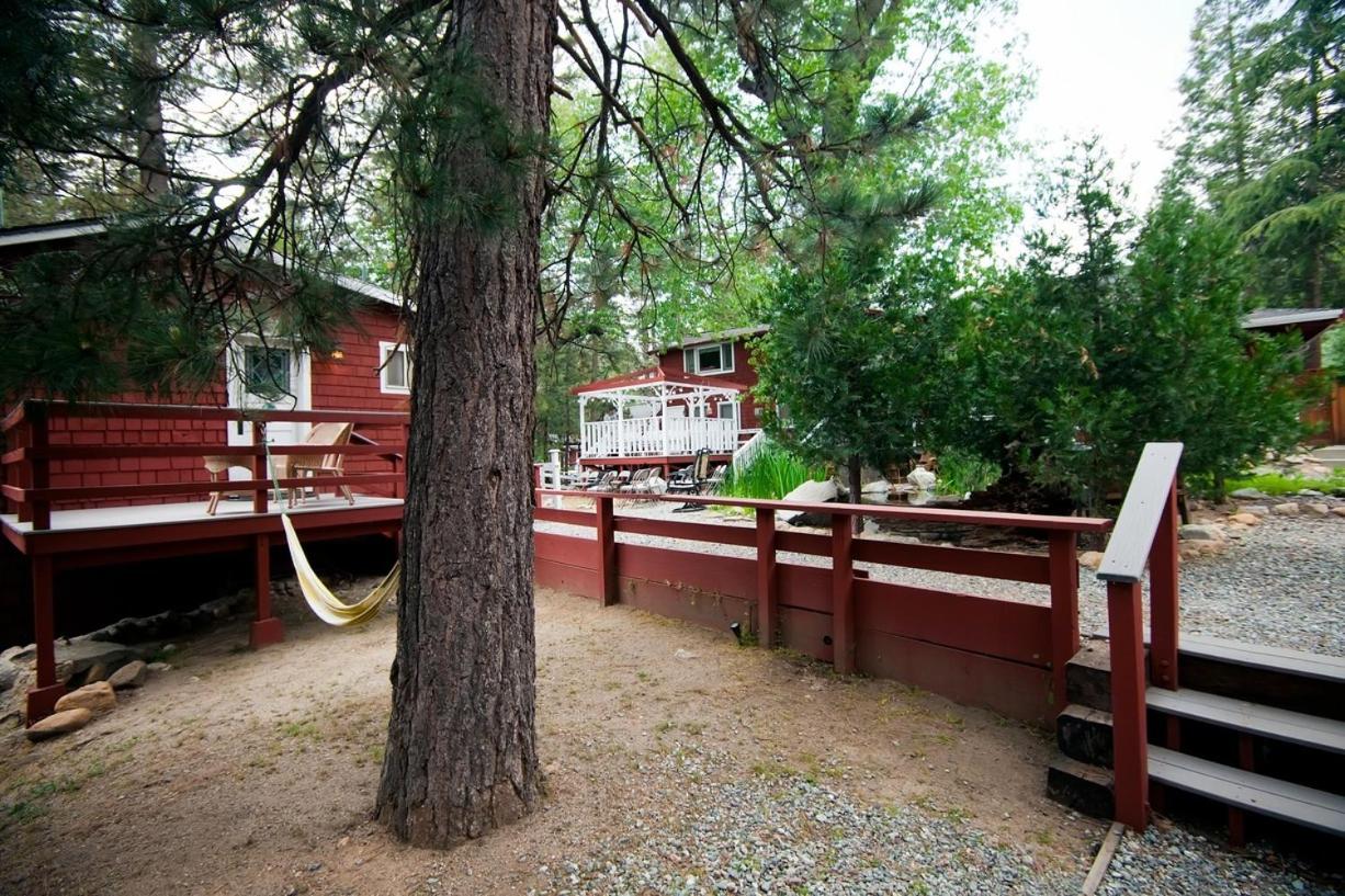 Photo 25