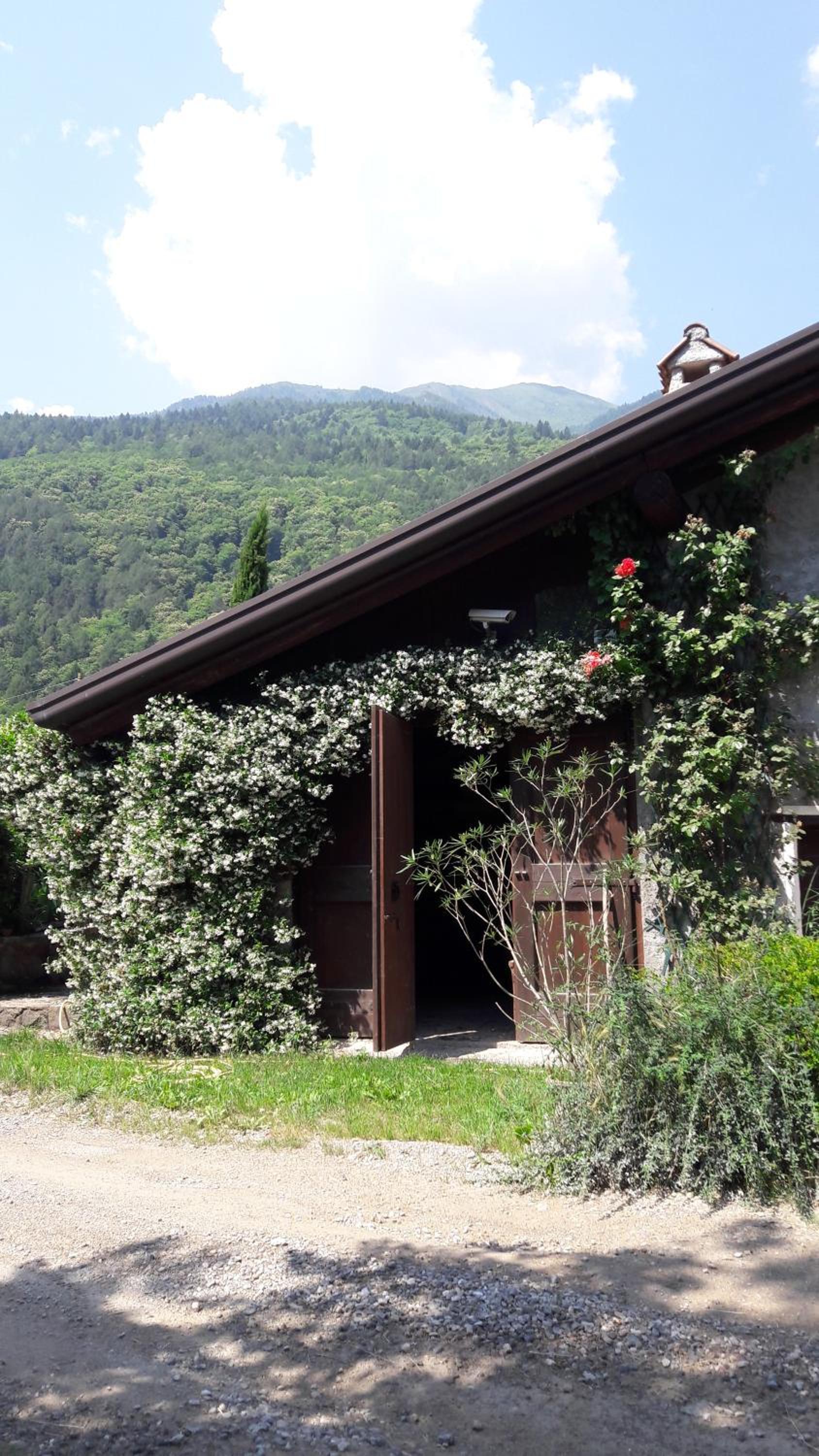 La Via Camuna