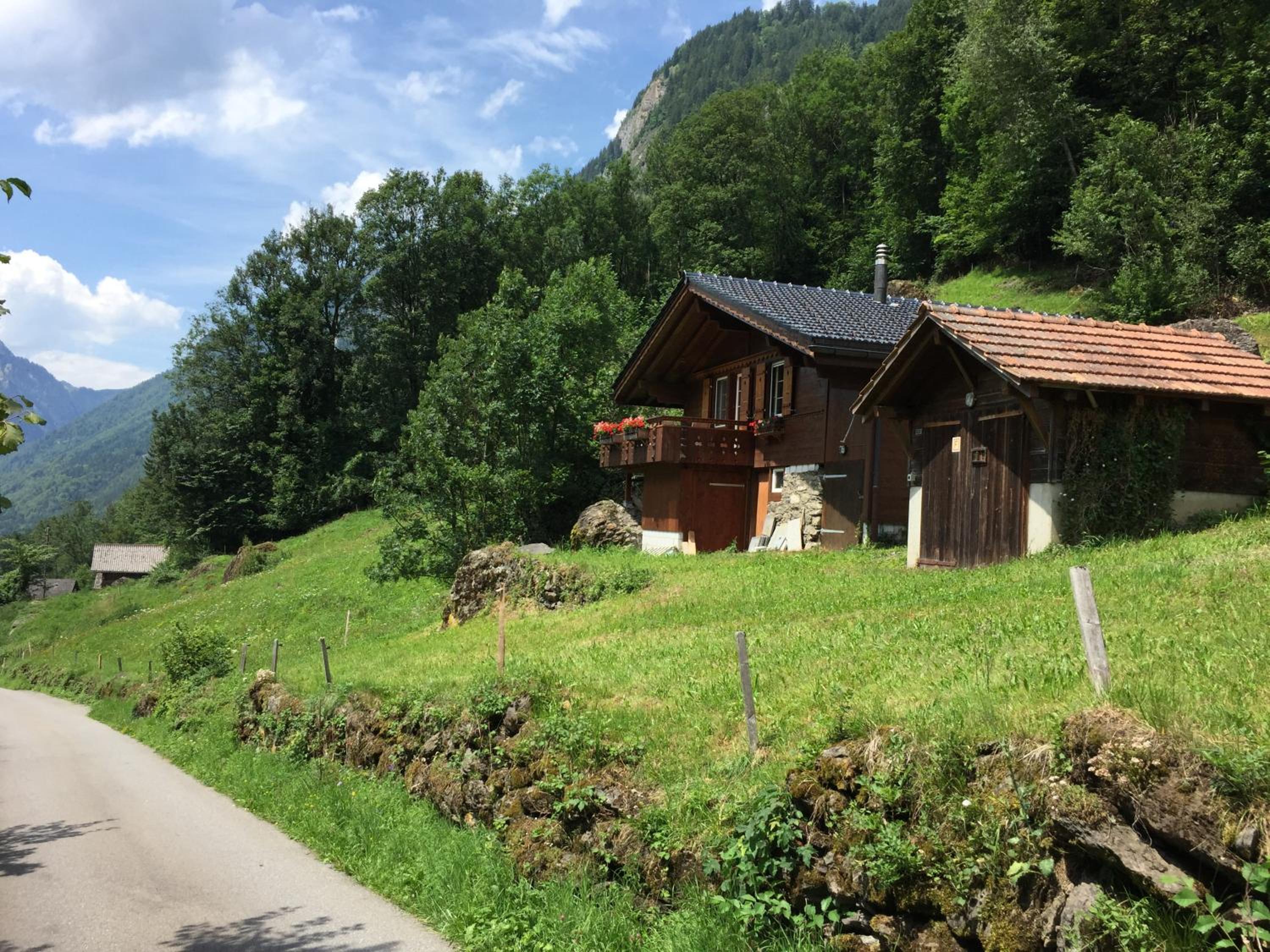 Photo 15