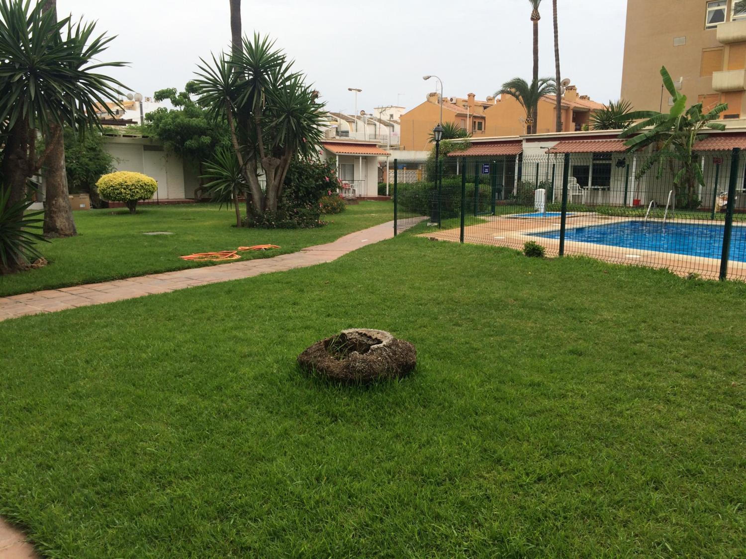 Photo 42